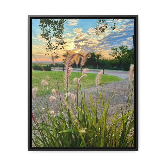 Feathergrass Sunrise, Gallery Canvas Wraps, Vertical Frame