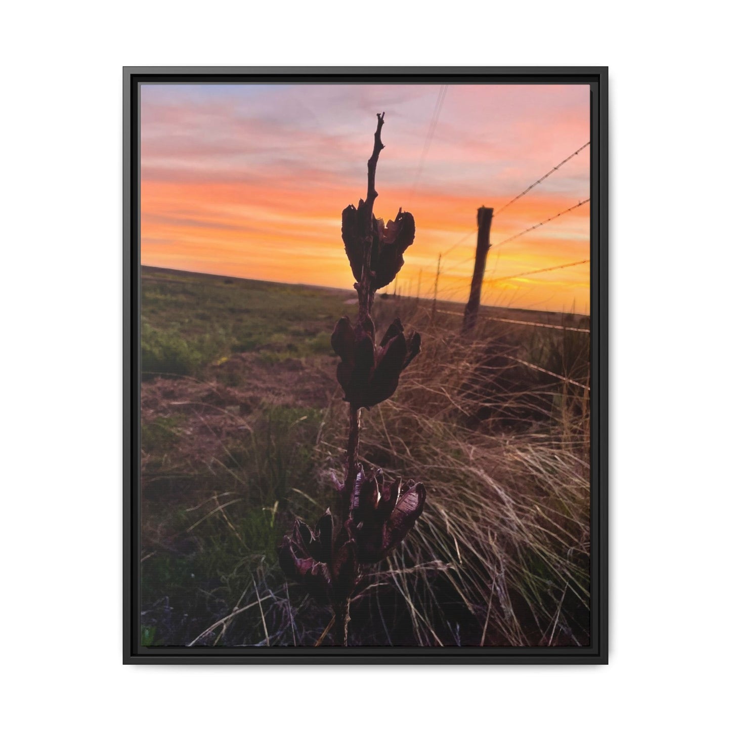 Native Yucca, Sunset, Gallery Canvas Wraps, Vertical Frame