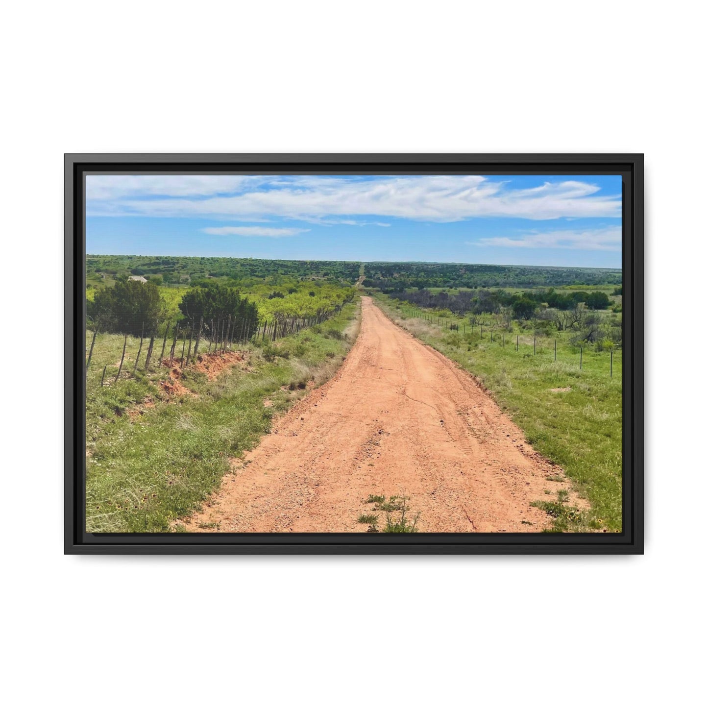 Bird Ranch Road, Matte Canvas, Framed (Multi-color)