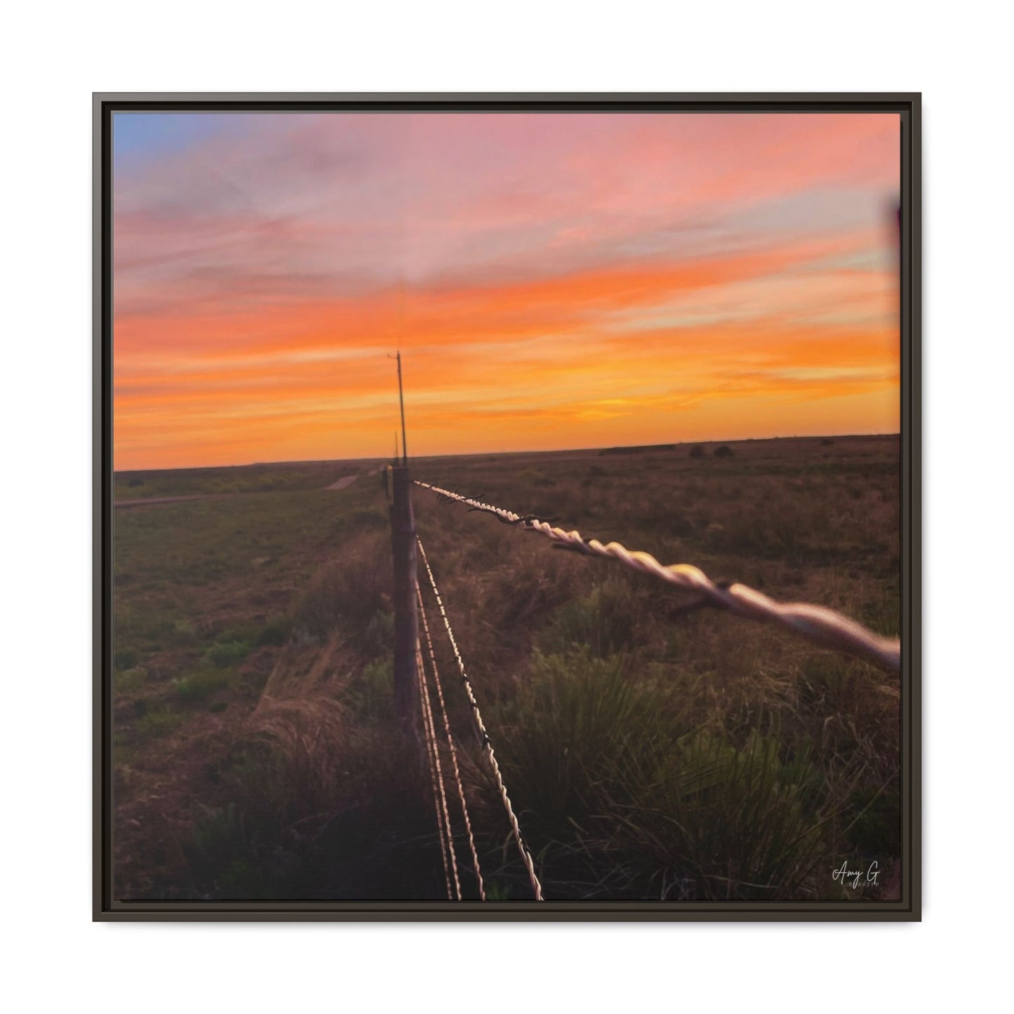 Barbed wire fence, Gallery Canvas Wraps, Vertical Frame