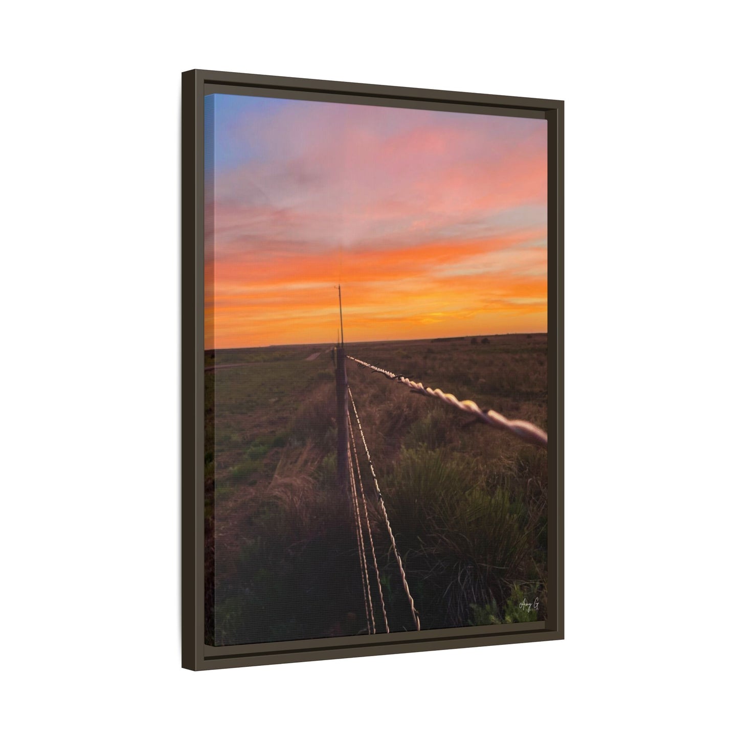 Barbed wire fence, Gallery Canvas Wraps, Vertical Frame