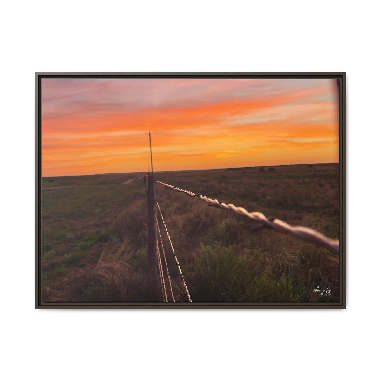 Barbed wire fence, Gallery Canvas Wraps, Vertical Frame
