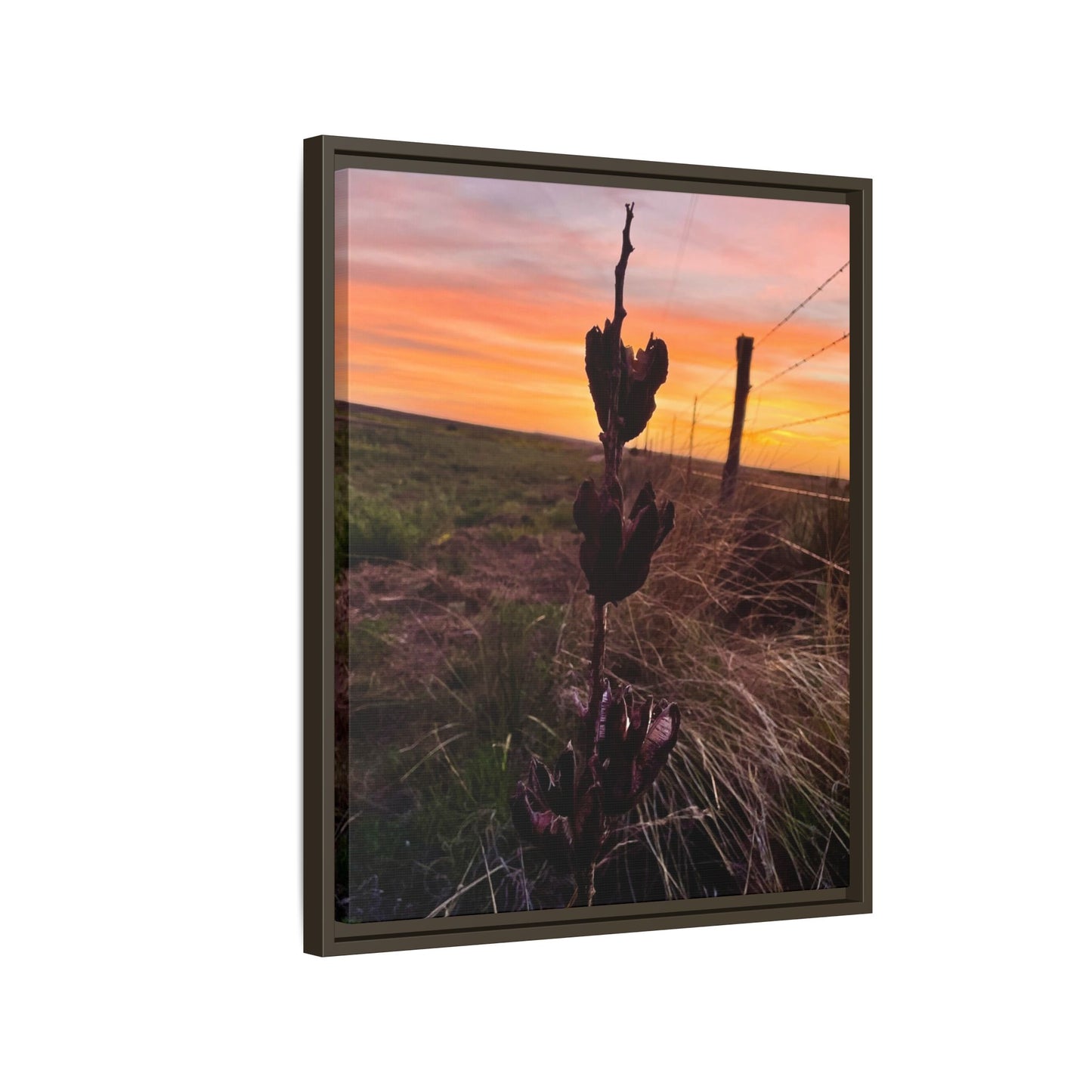 Native Yucca, Sunset, Gallery Canvas Wraps, Vertical Frame