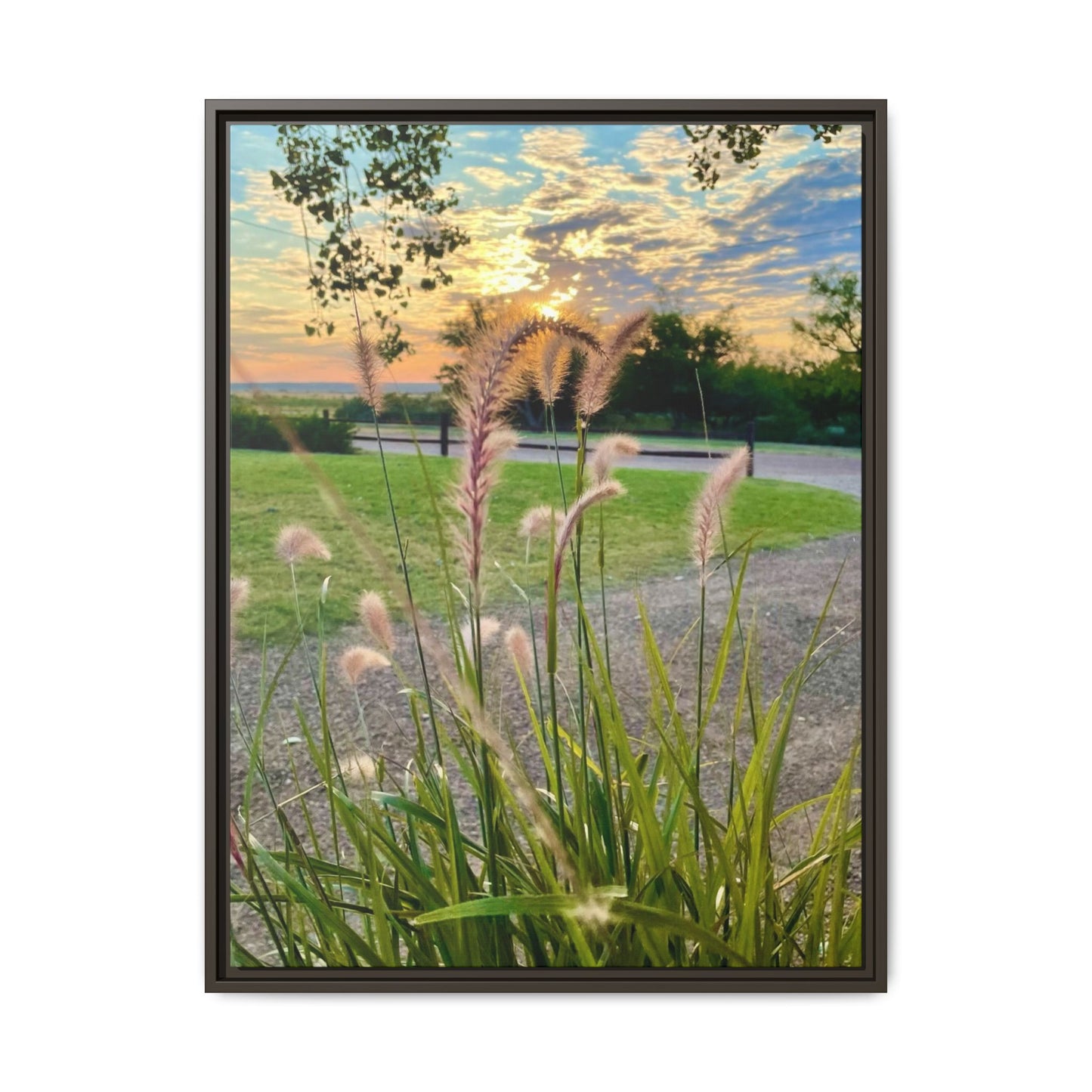Feathergrass Sunrise, Gallery Canvas Wraps, Vertical Frame