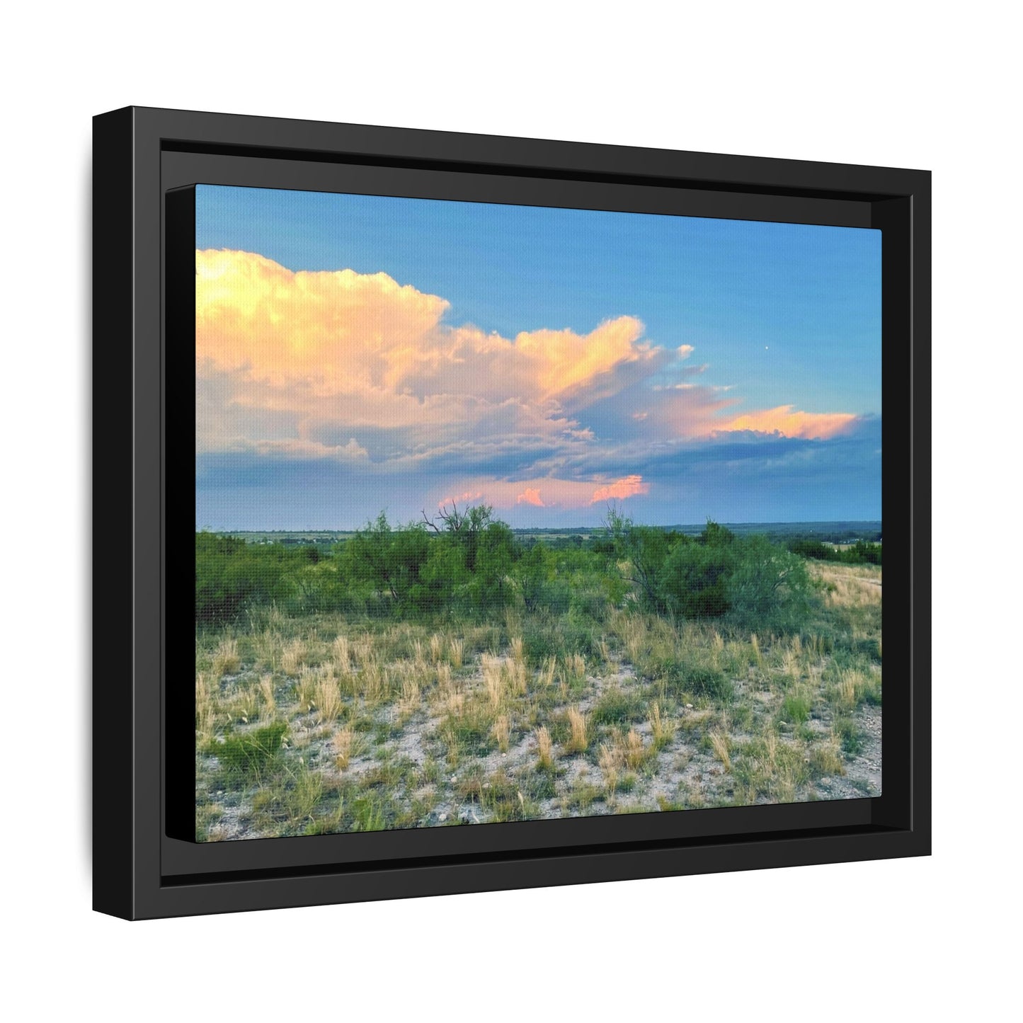 Gallery Canvas Wraps, Horizontal Frame