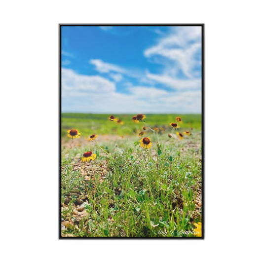 Wildflowers, Gallery Canvas Wraps, Vertical Frame