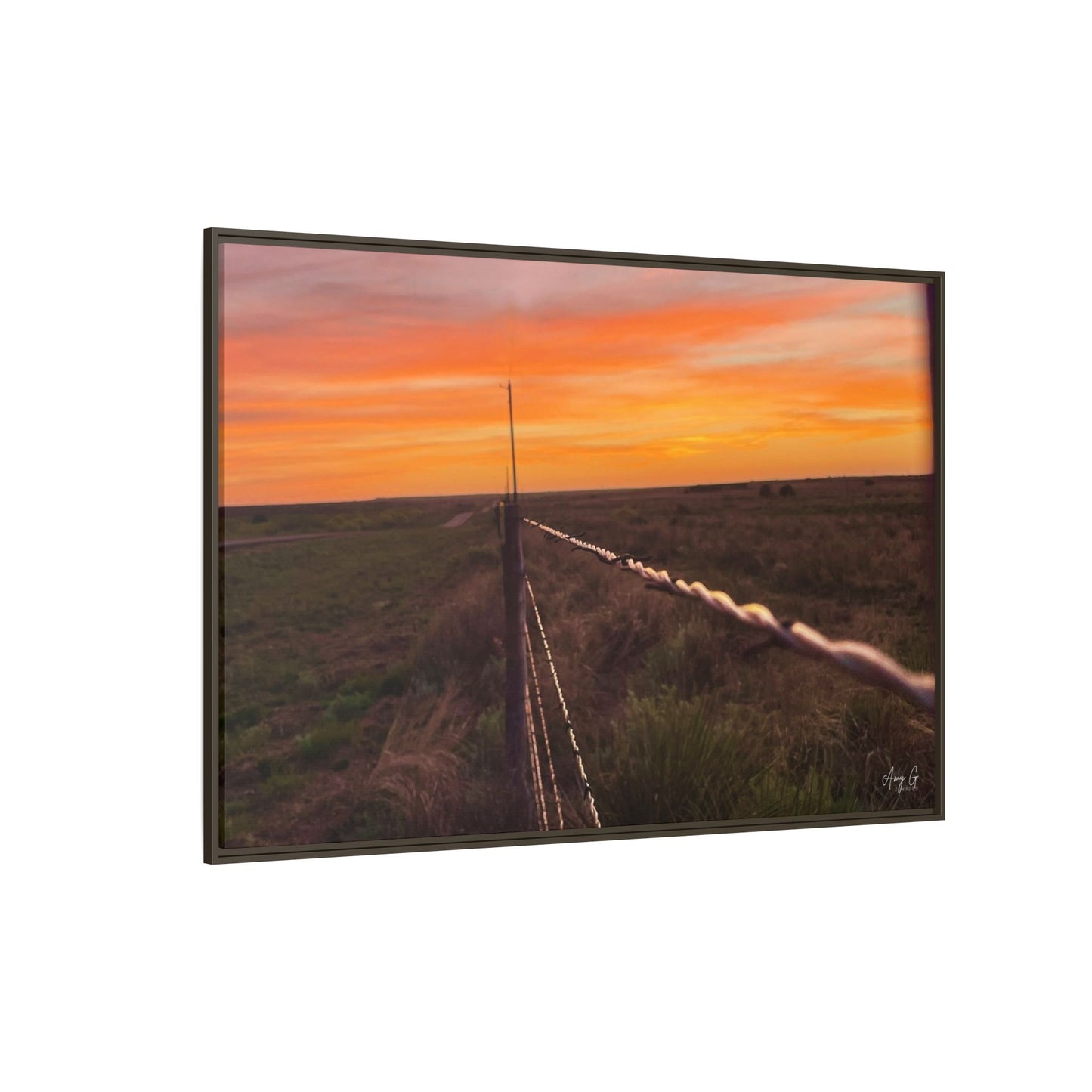 Barbed wire fence, Gallery Canvas Wraps, Vertical Frame