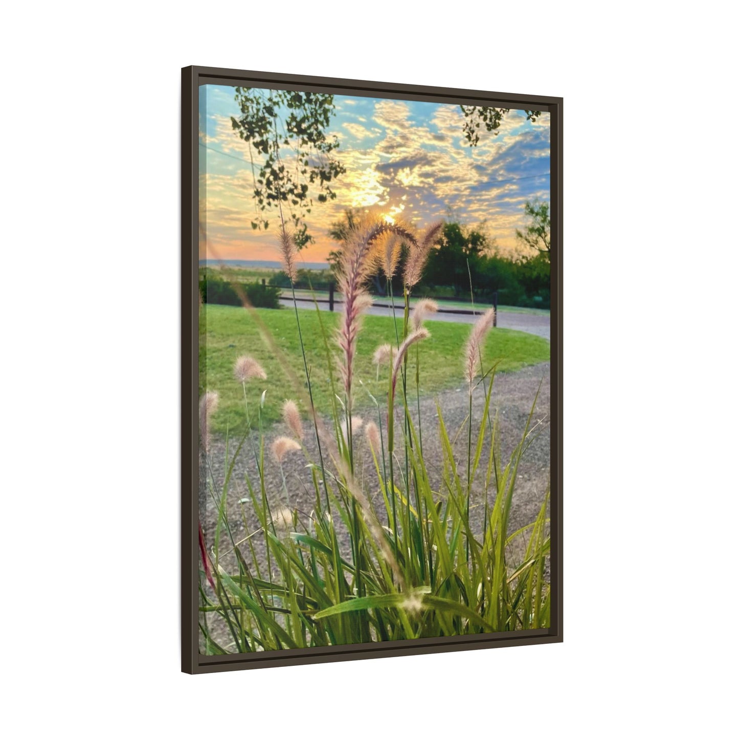 Feathergrass Sunrise, Gallery Canvas Wraps, Vertical Frame