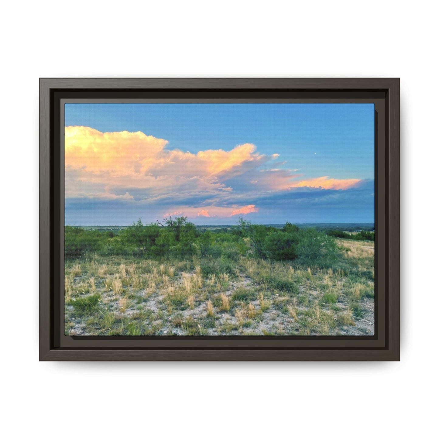 Gallery Canvas Wraps, Horizontal Frame