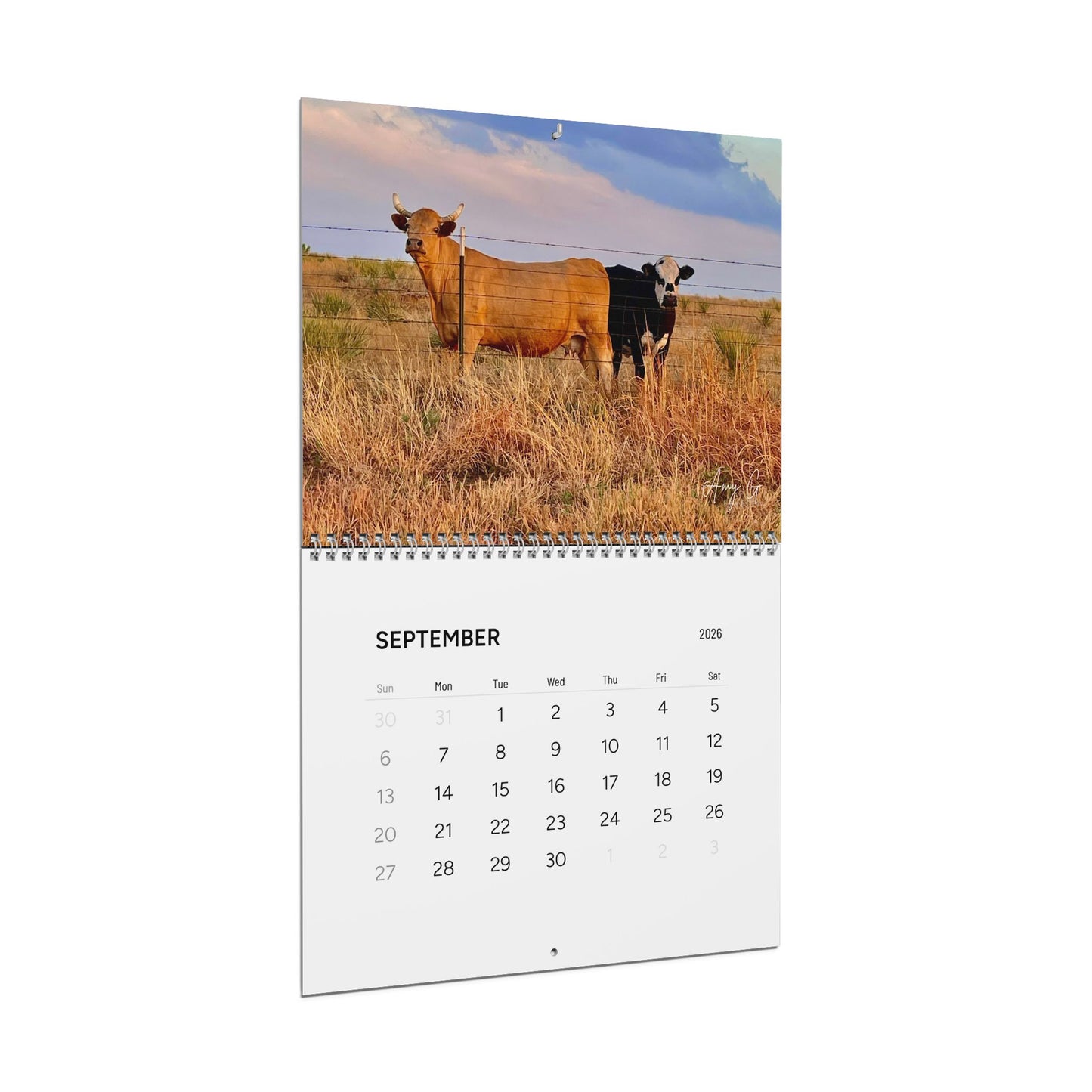 Amy G Bearden, Wall Calendars (2026)