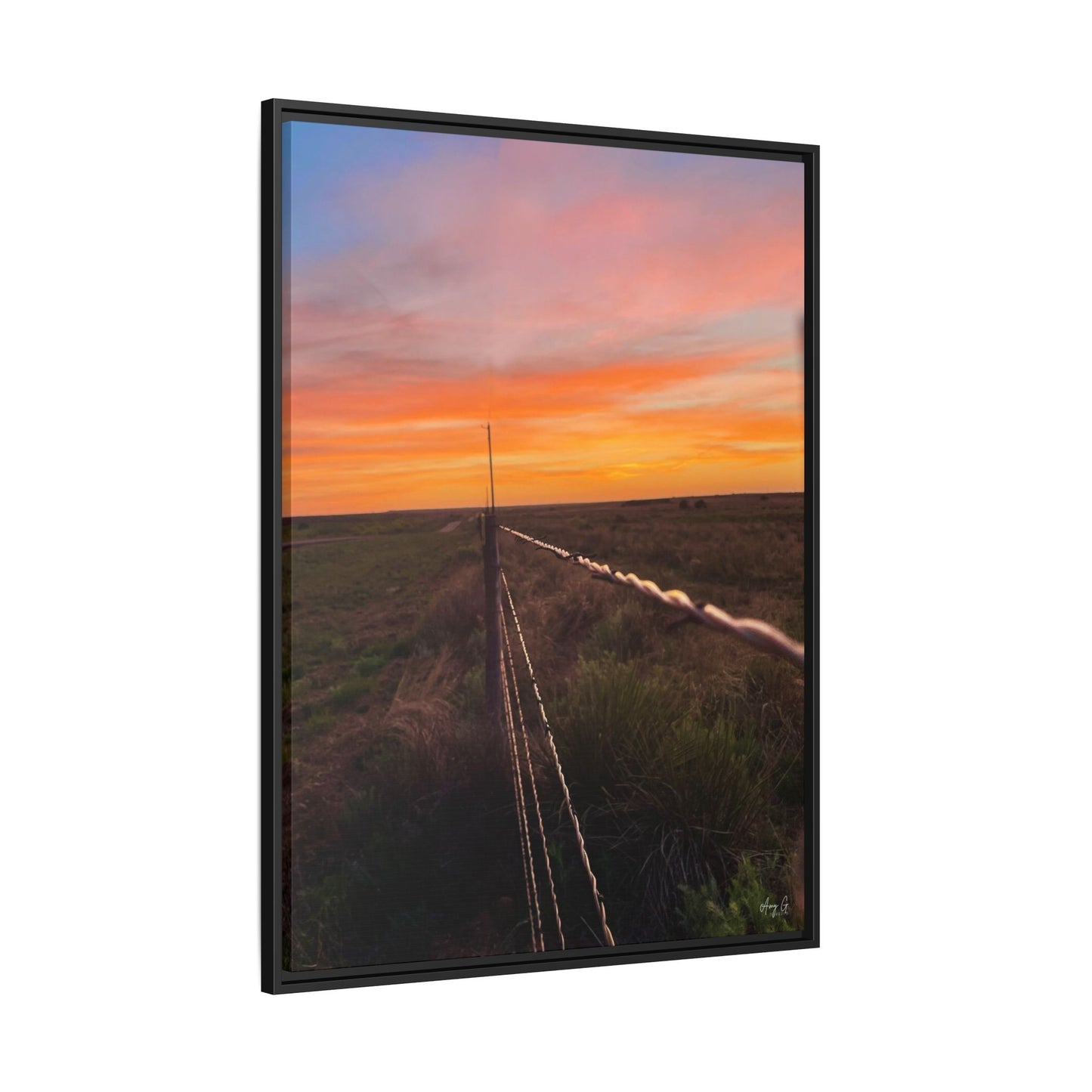 Barbed wire fence, Gallery Canvas Wraps, Vertical Frame