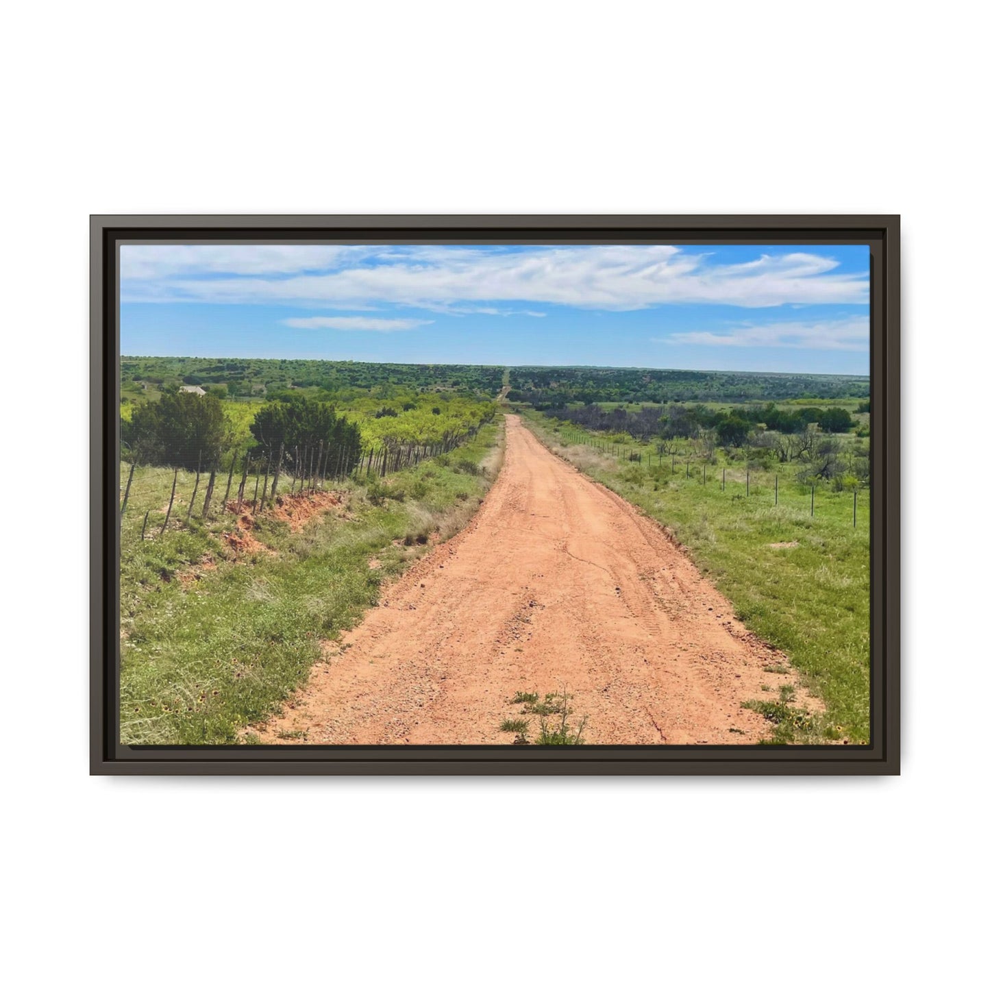 Bird Ranch Road, Matte Canvas, Framed (Multi-color)