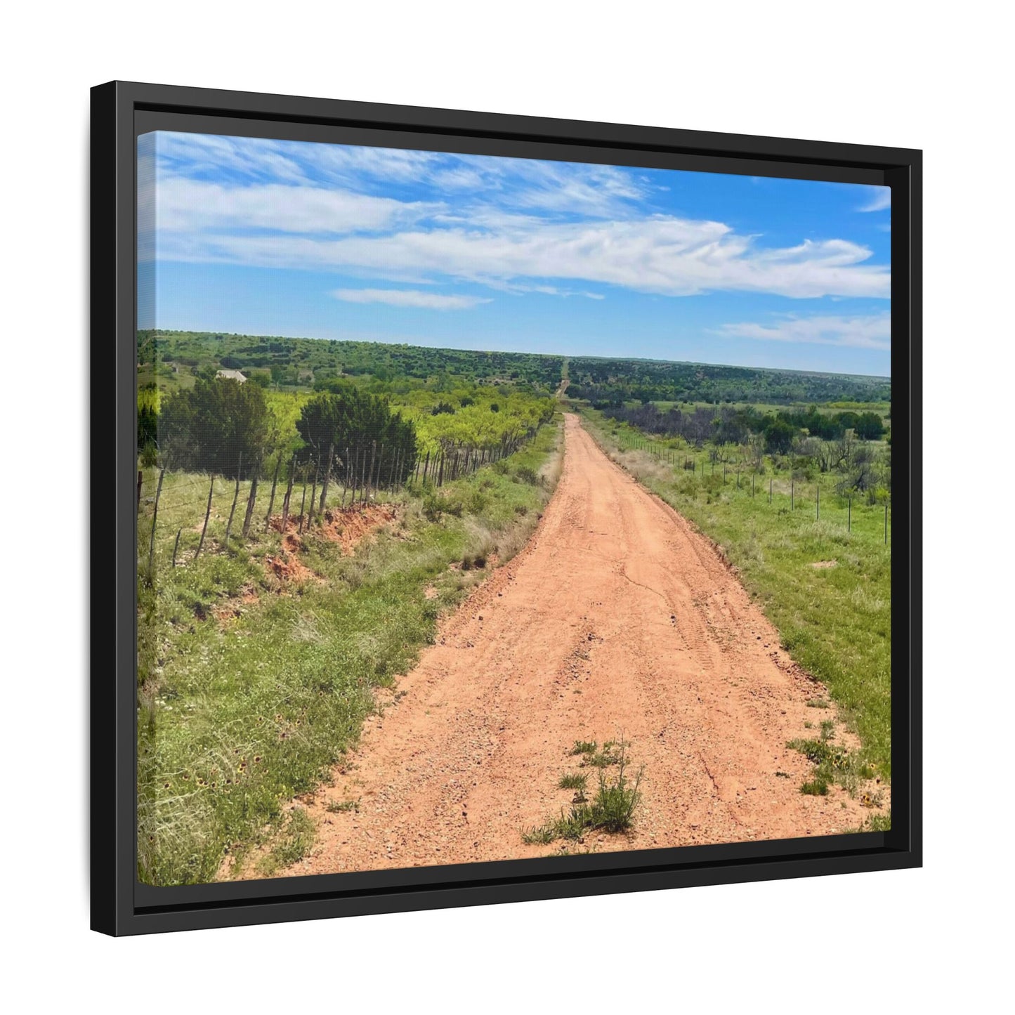 Bird Ranch Road, Matte Canvas, Framed (Multi-color)