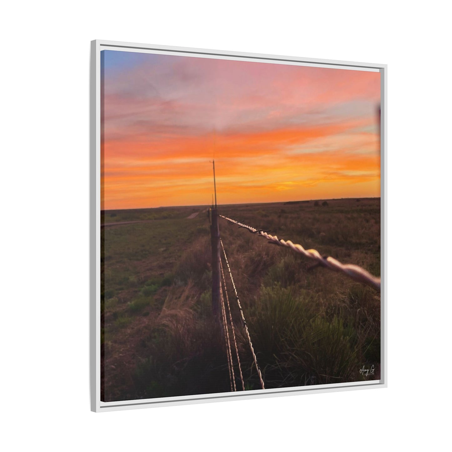 Barbed wire fence, Gallery Canvas Wraps, Vertical Frame