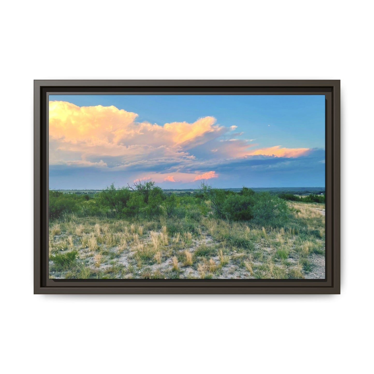 Gallery Canvas Wraps, Horizontal Frame