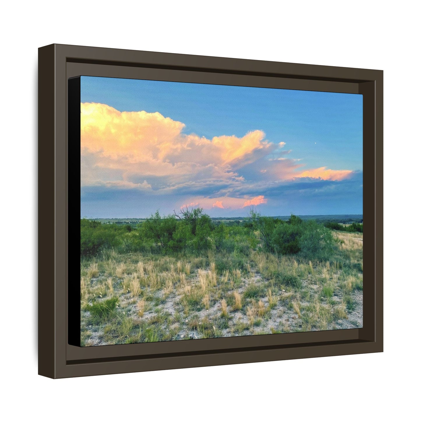 Gallery Canvas Wraps, Horizontal Frame