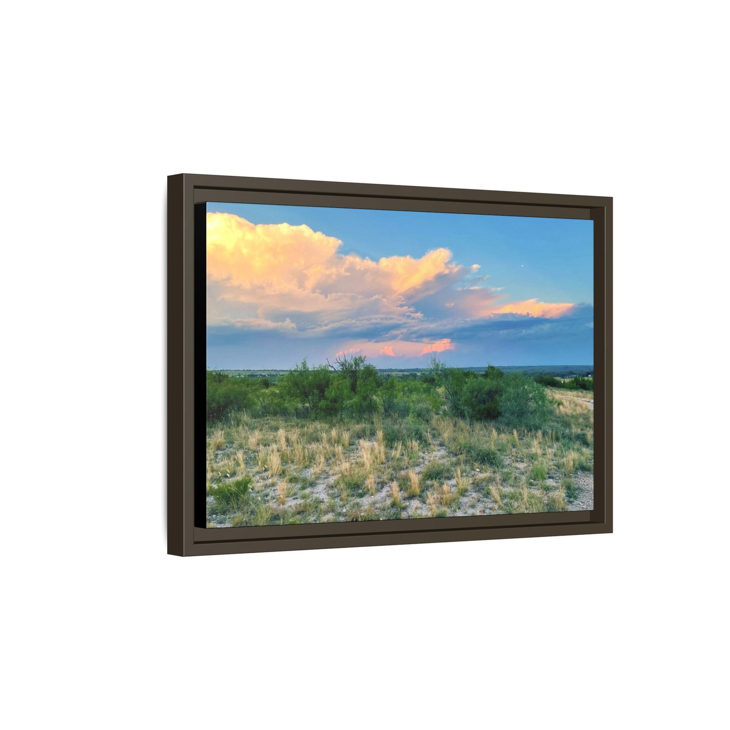Gallery Canvas Wraps, Horizontal Frame