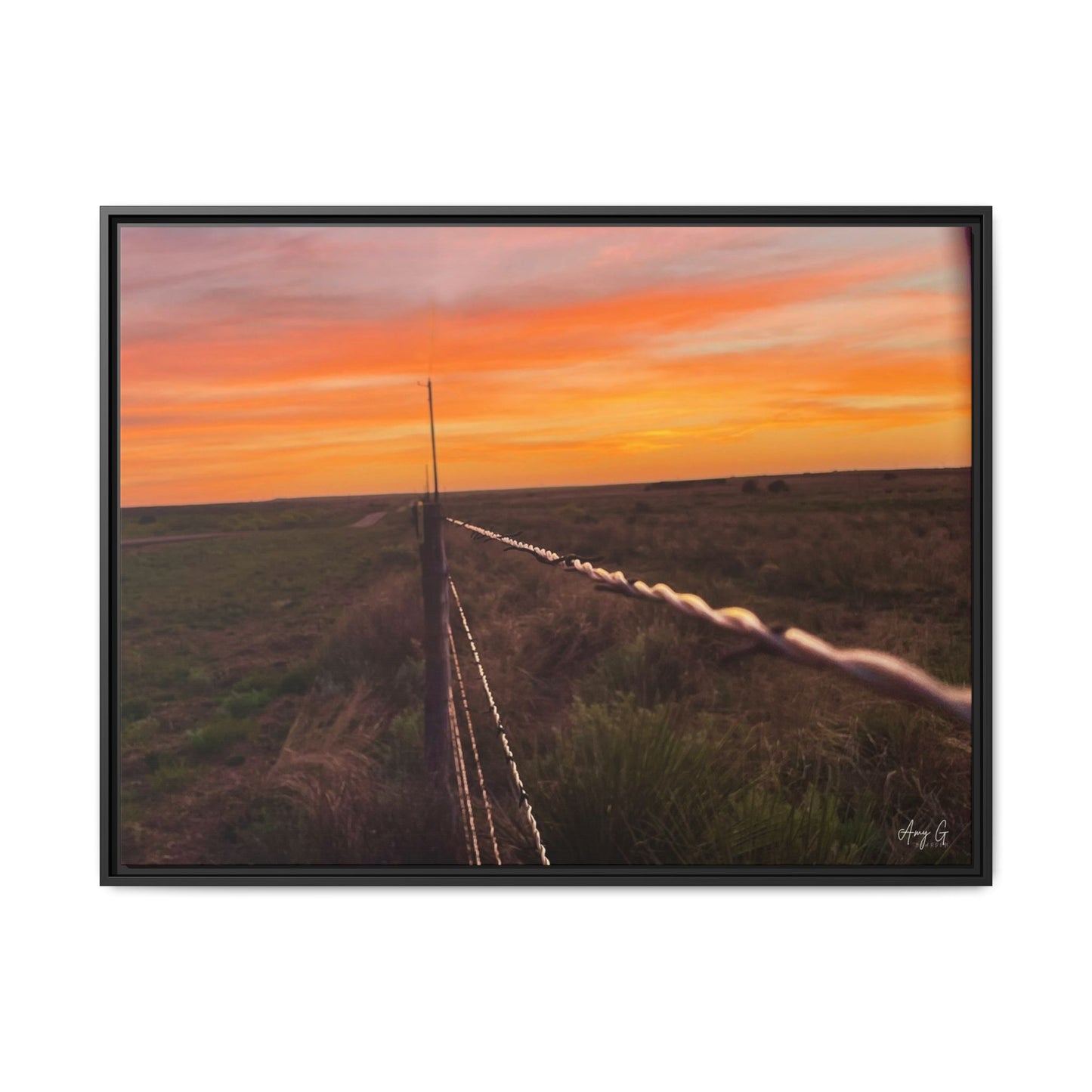 Barbed wire fence, Gallery Canvas Wraps, Vertical Frame