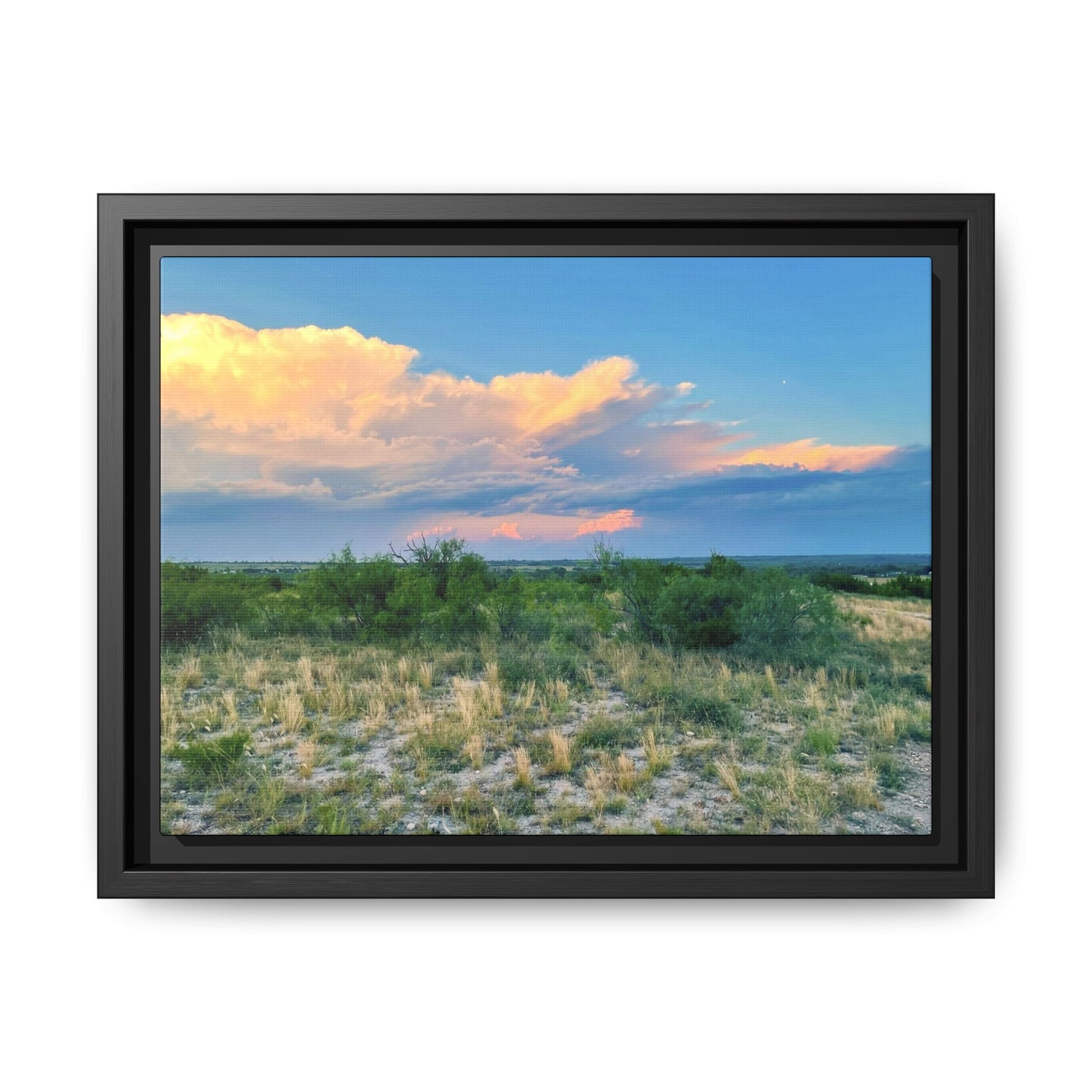 Gallery Canvas Wraps, Horizontal Frame