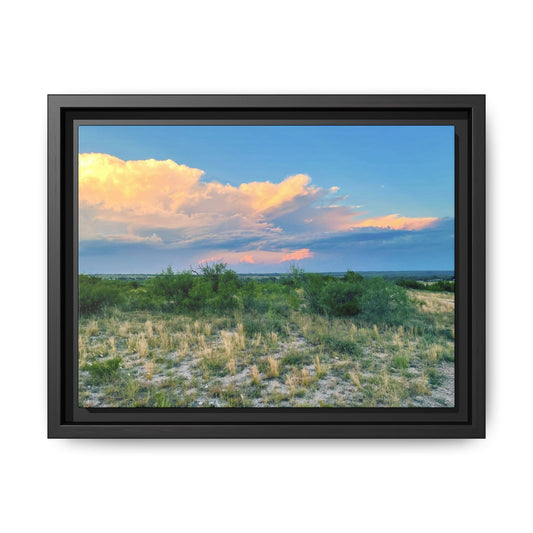 Gallery Canvas Wraps, Horizontal Frame