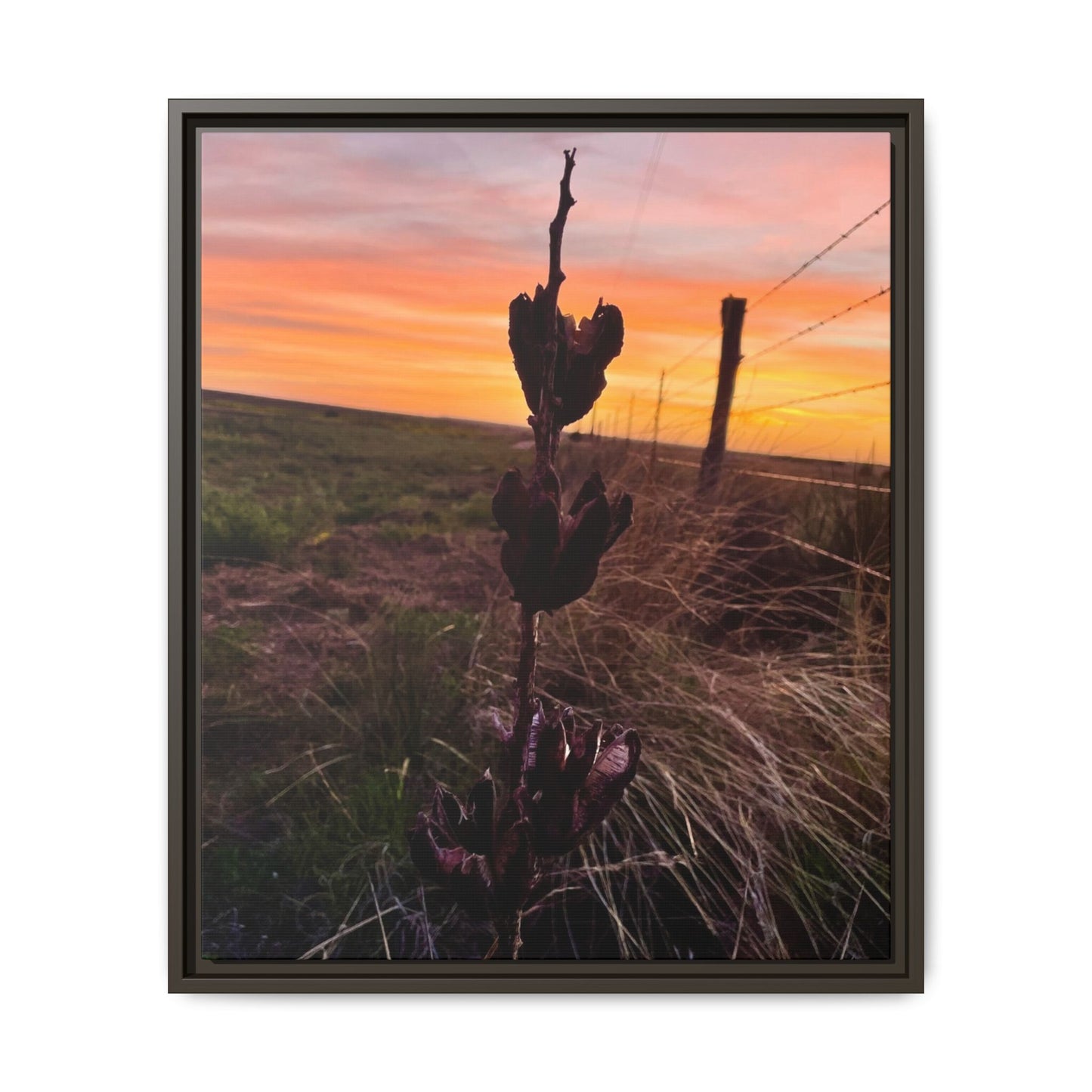 Native Yucca, Sunset, Gallery Canvas Wraps, Vertical Frame