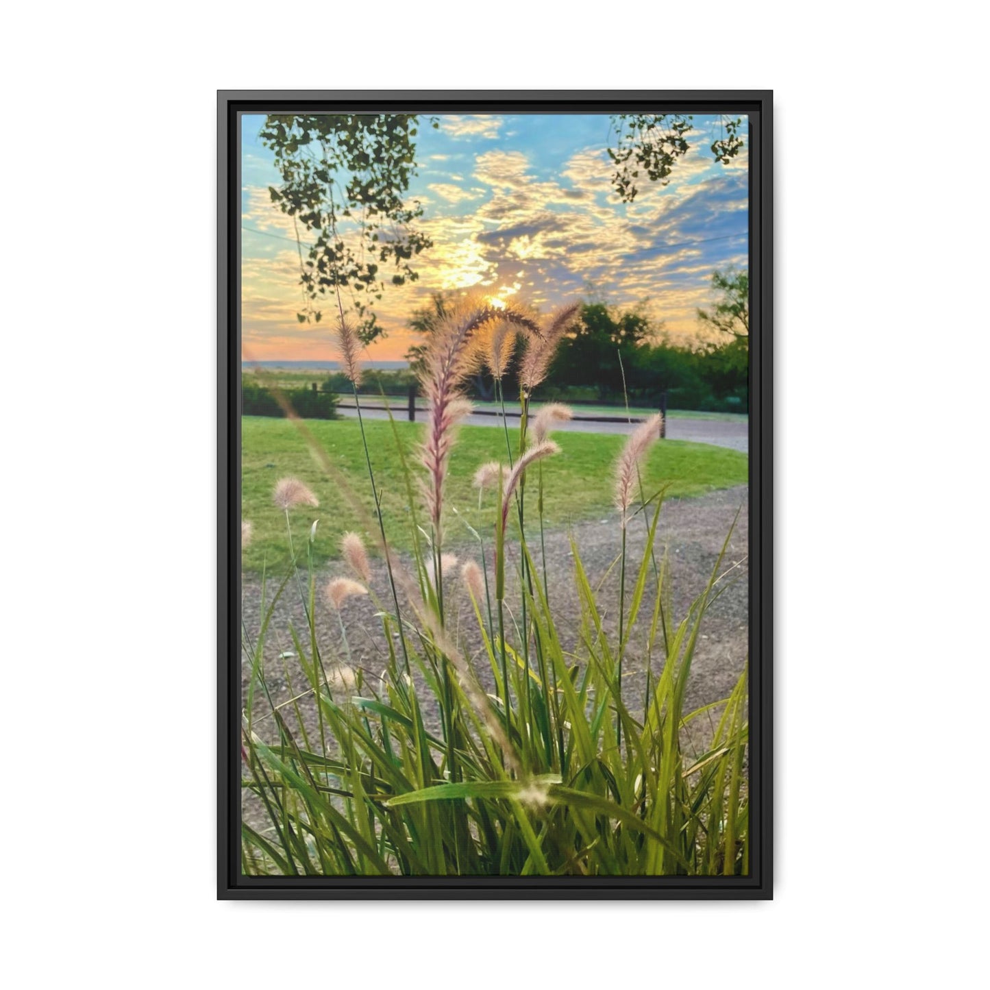 Feathergrass Sunrise, Gallery Canvas Wraps, Vertical Frame