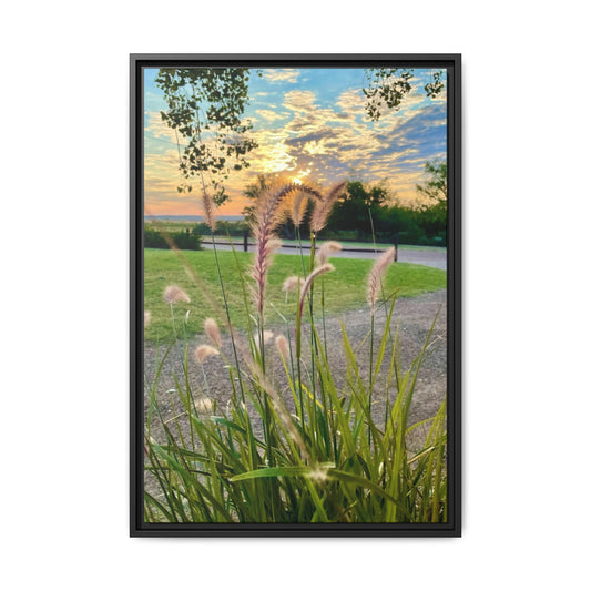 Feathergrass Sunrise, Gallery Canvas Wraps, Vertical Frame