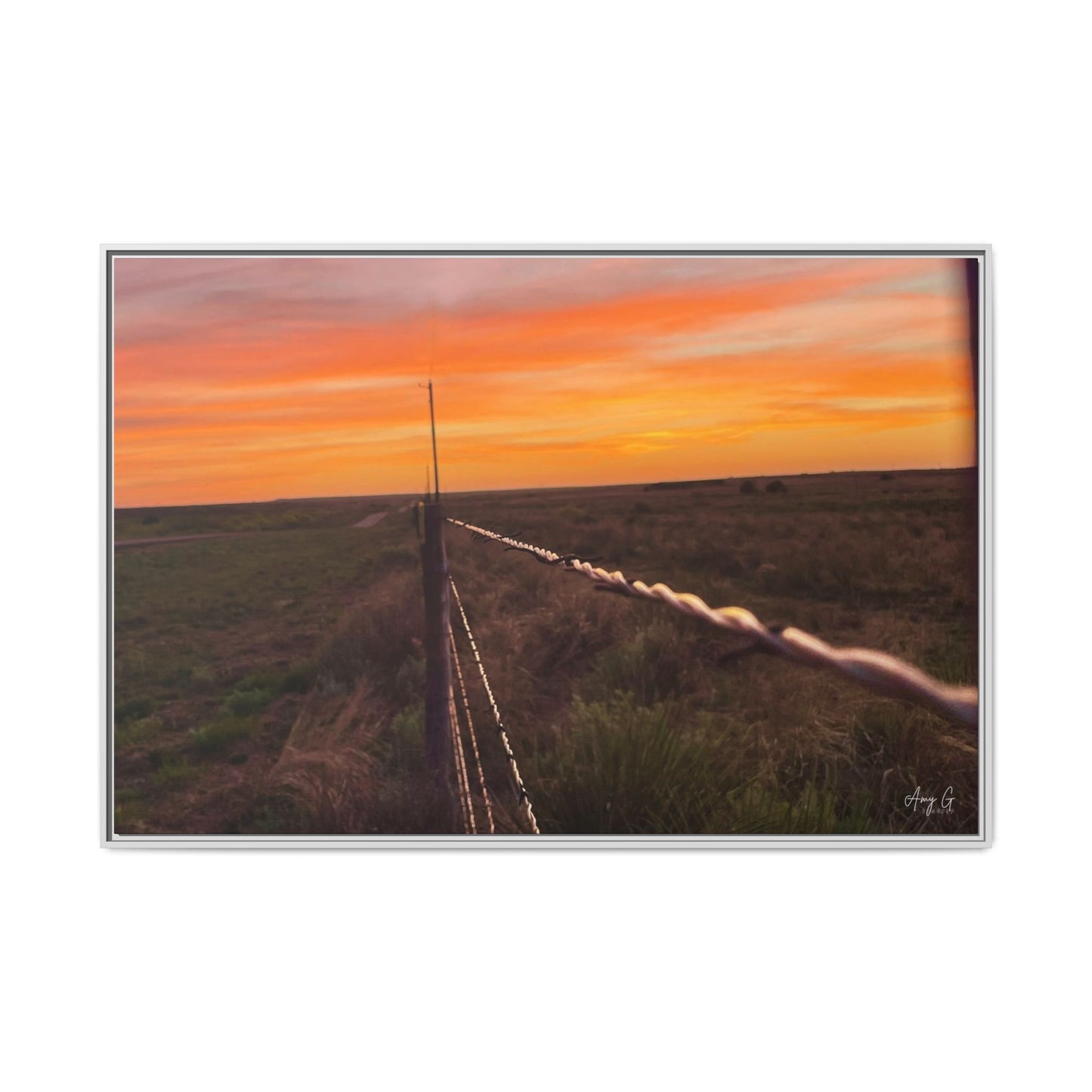 Barbed wire fence, Gallery Canvas Wraps, Vertical Frame