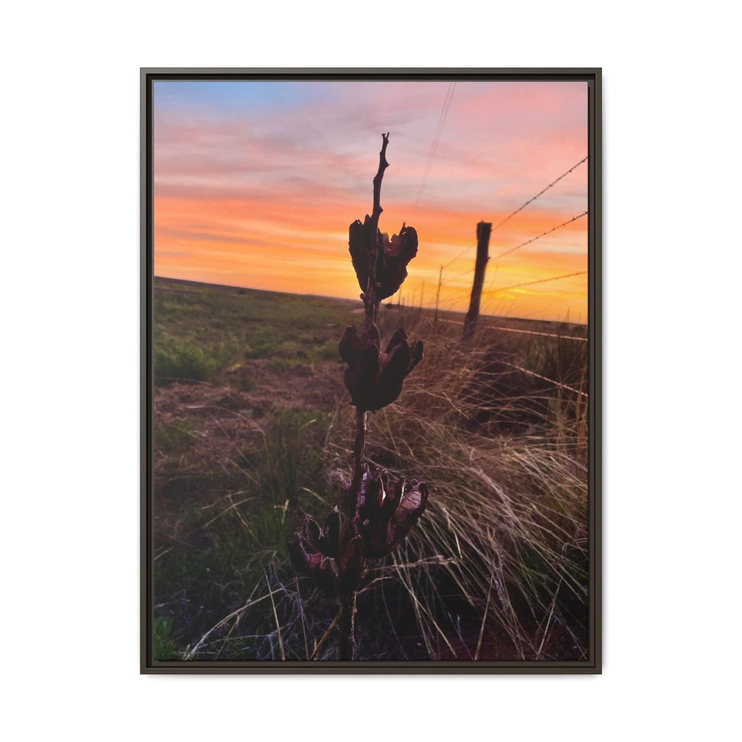 Native Yucca, Sunset, Gallery Canvas Wraps, Vertical Frame