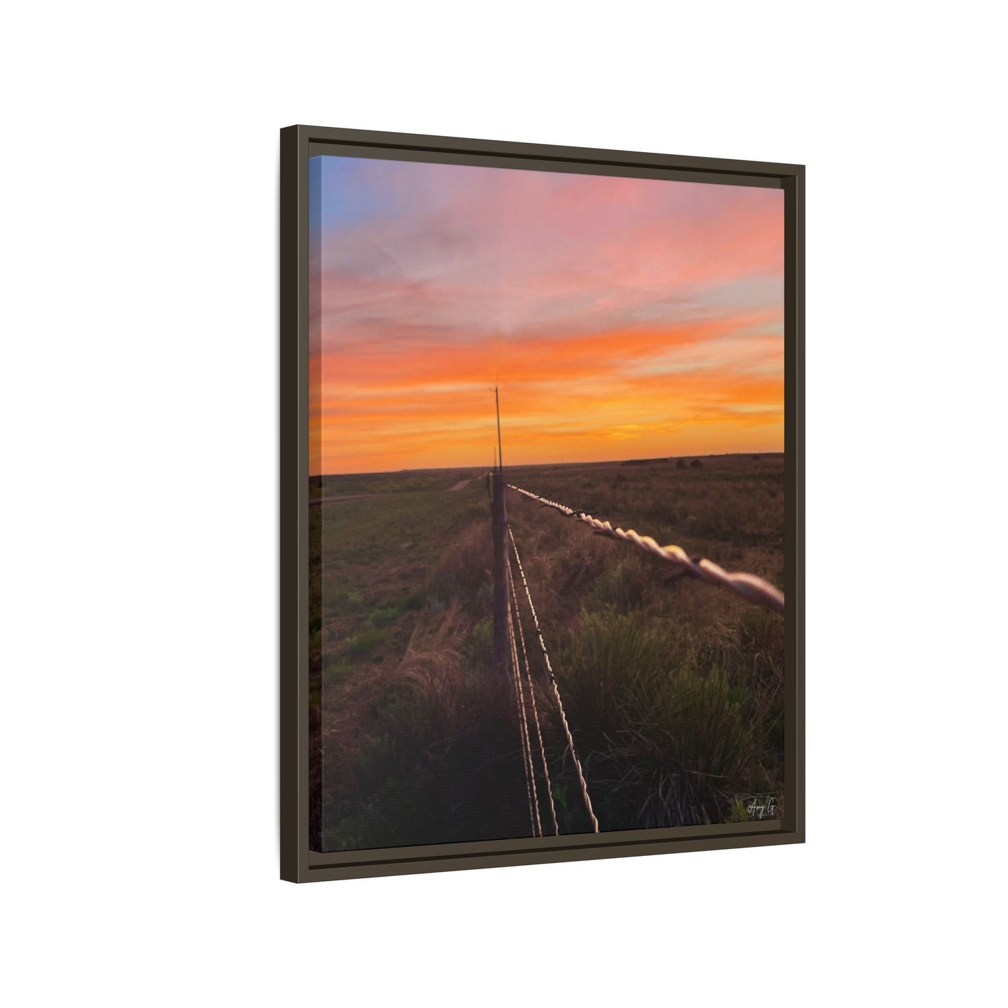 Barbed wire fence, Gallery Canvas Wraps, Vertical Frame