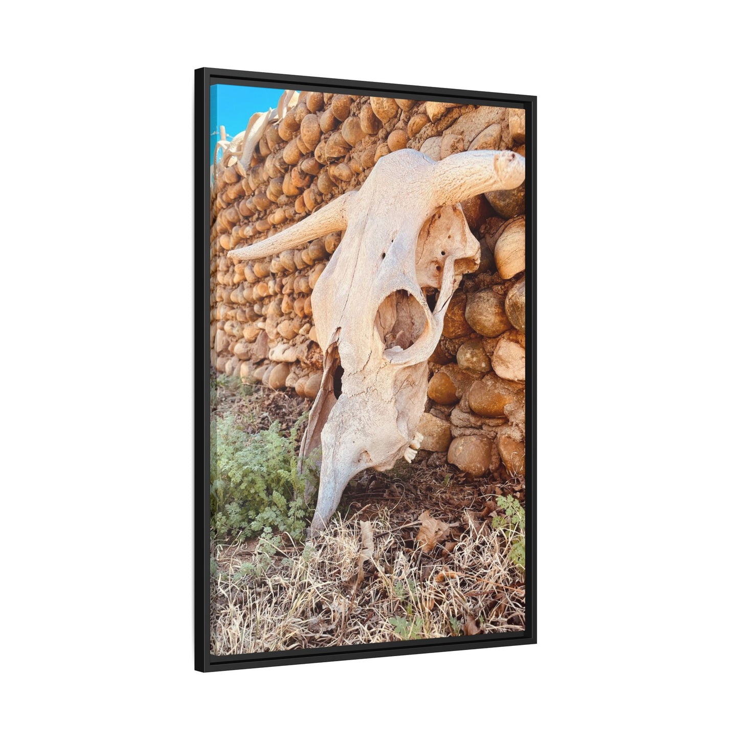 cow skull, Matte Canvas, Framed (Multi-color)