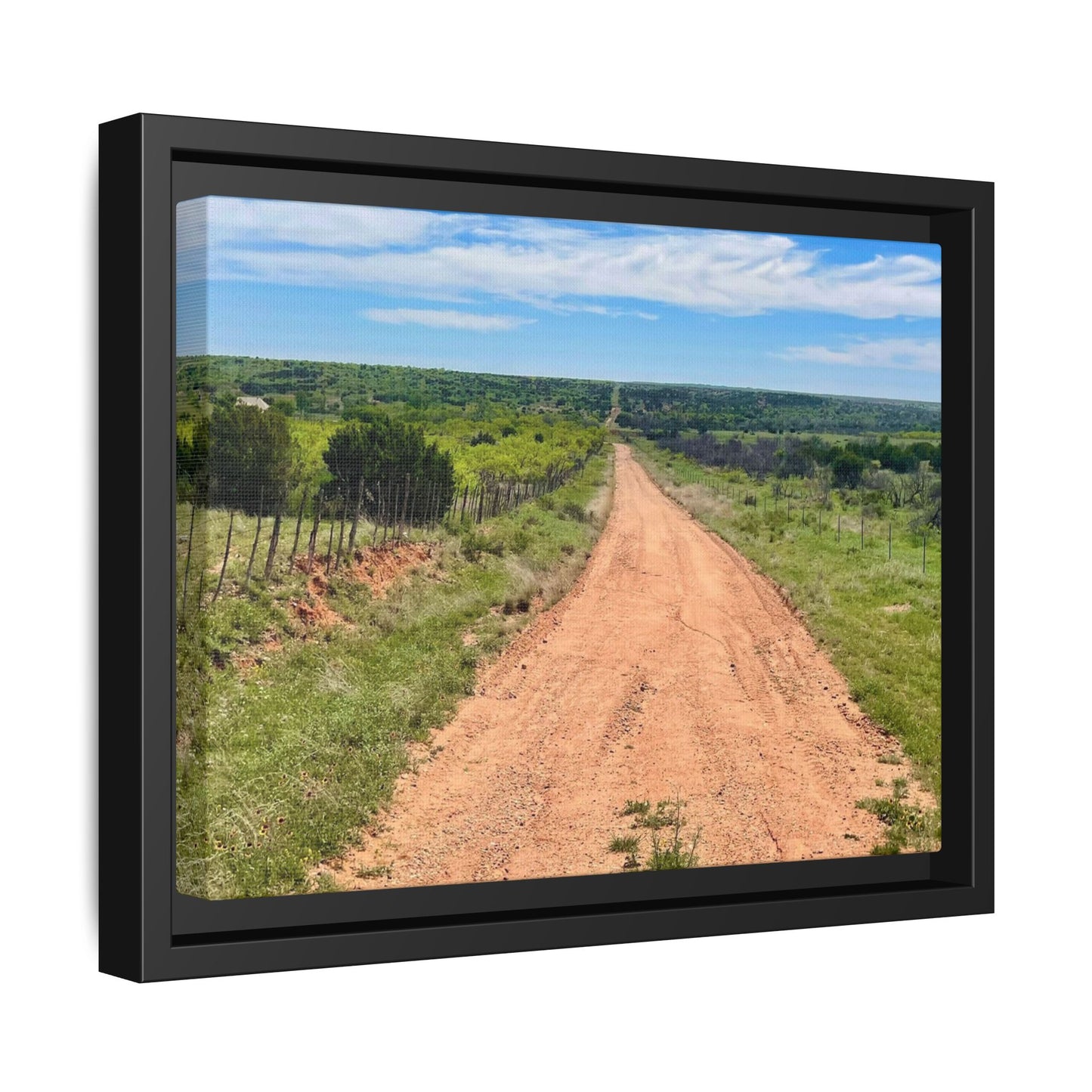 Bird Ranch Road, Matte Canvas, Framed (Multi-color)