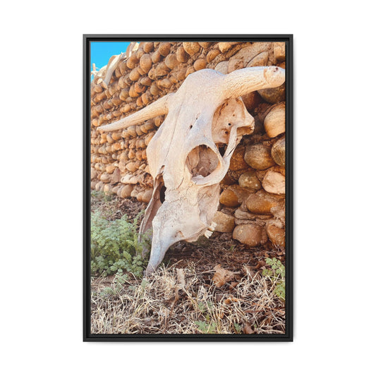 cow skull, Matte Canvas, Framed (Multi-color)