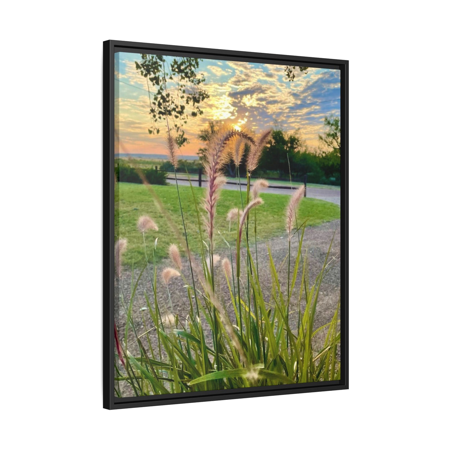 Feathergrass Sunrise, Gallery Canvas Wraps, Vertical Frame