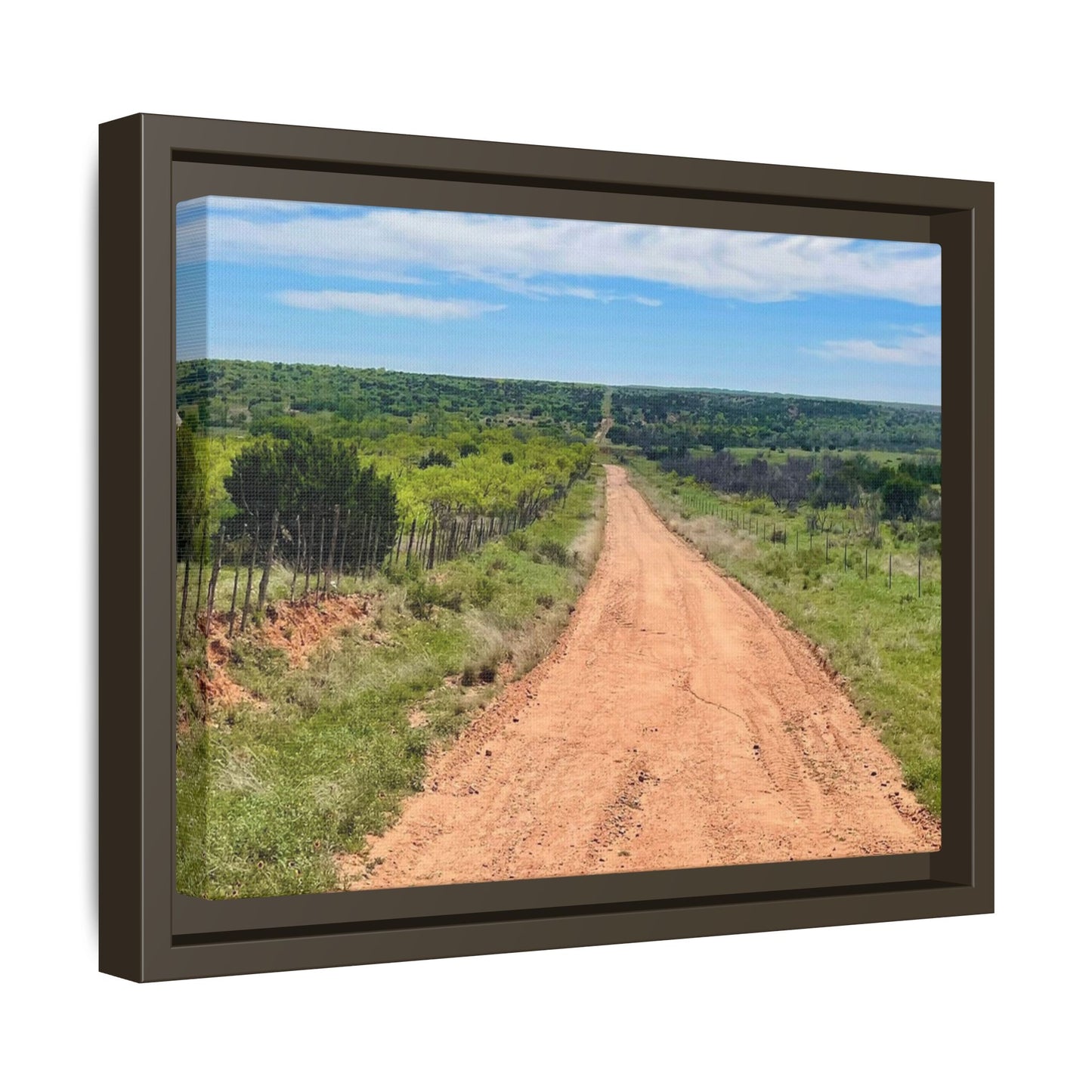 Red Dirt Road, Gallery Canvas Wraps, Horizontal Frame