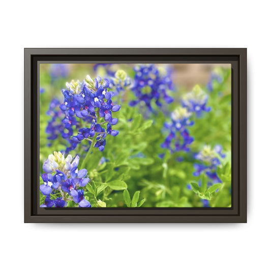 Bluebonnets, Gallery Canvas Wraps, Vertical Frame