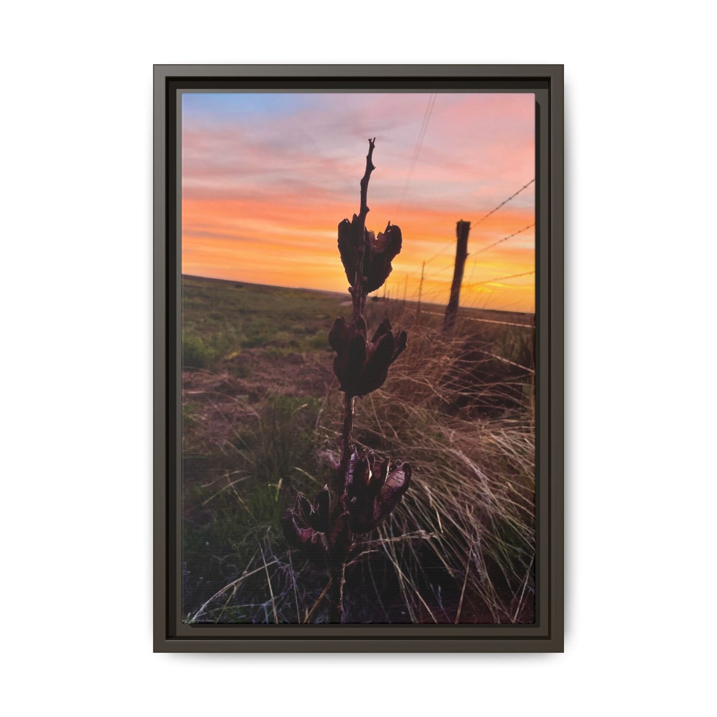 Native Yucca, Sunset, Gallery Canvas Wraps, Vertical Frame