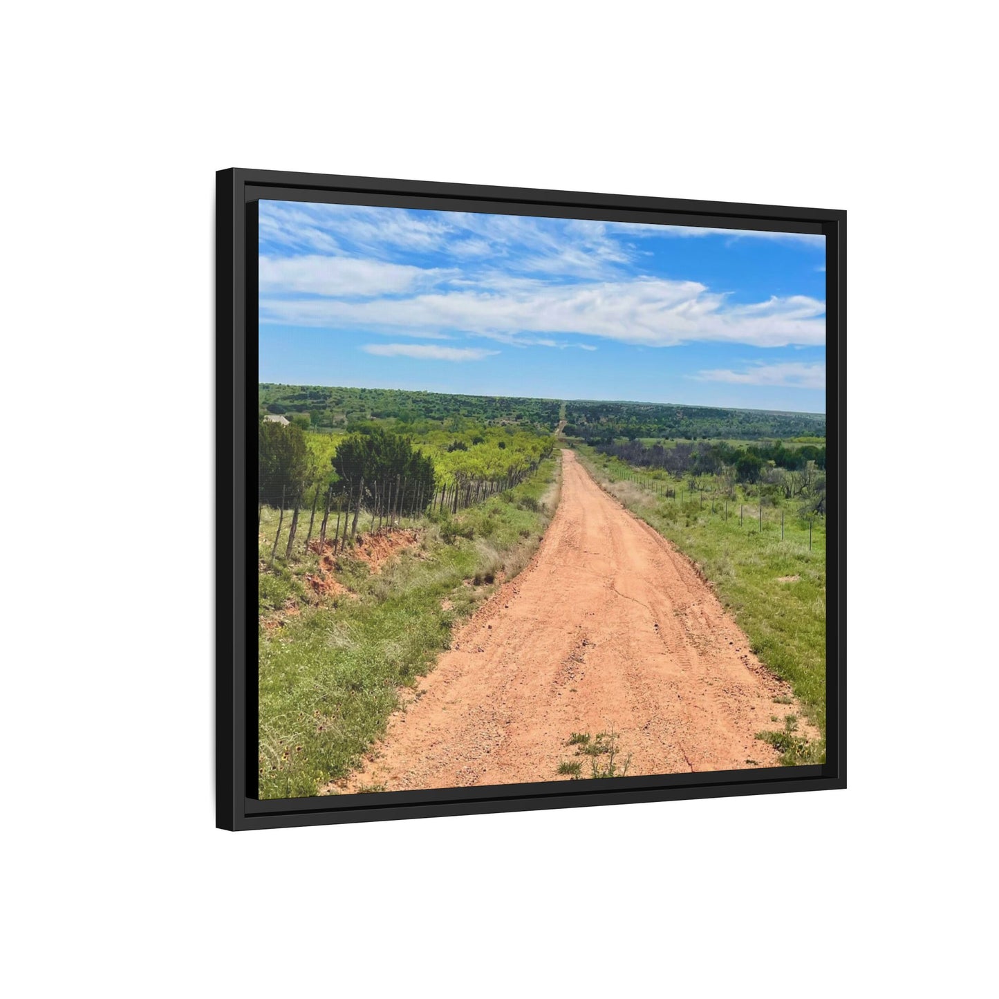 Red Dirt Road, Gallery Canvas Wraps, Horizontal Frame