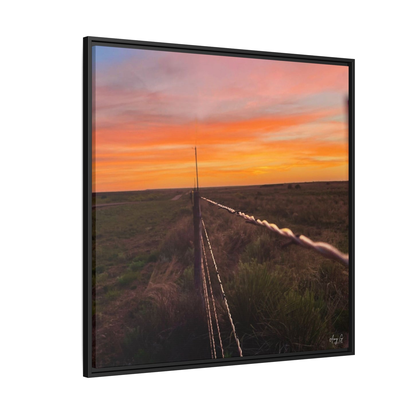 Barbed wire fence, Gallery Canvas Wraps, Vertical Frame