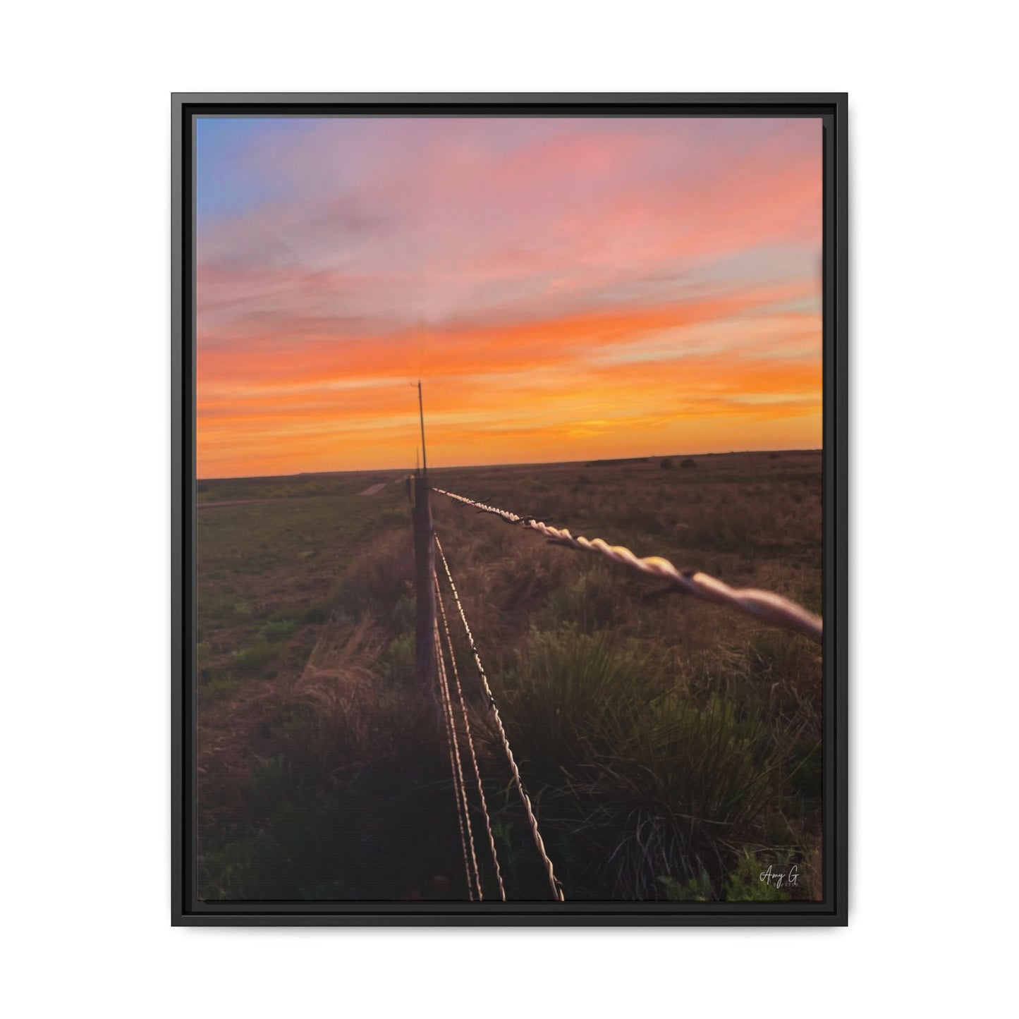 Barbed wire fence, Gallery Canvas Wraps, Vertical Frame