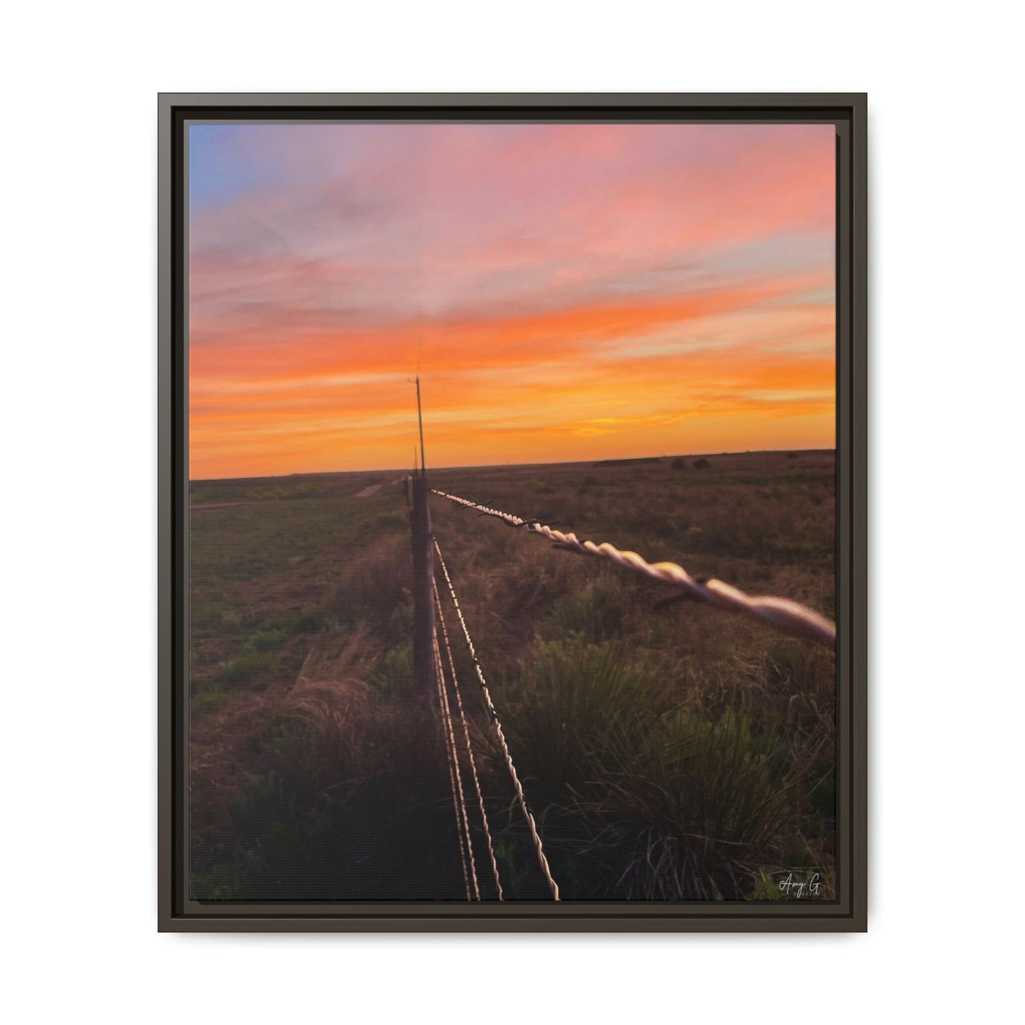 Barbed wire fence, Gallery Canvas Wraps, Vertical Frame