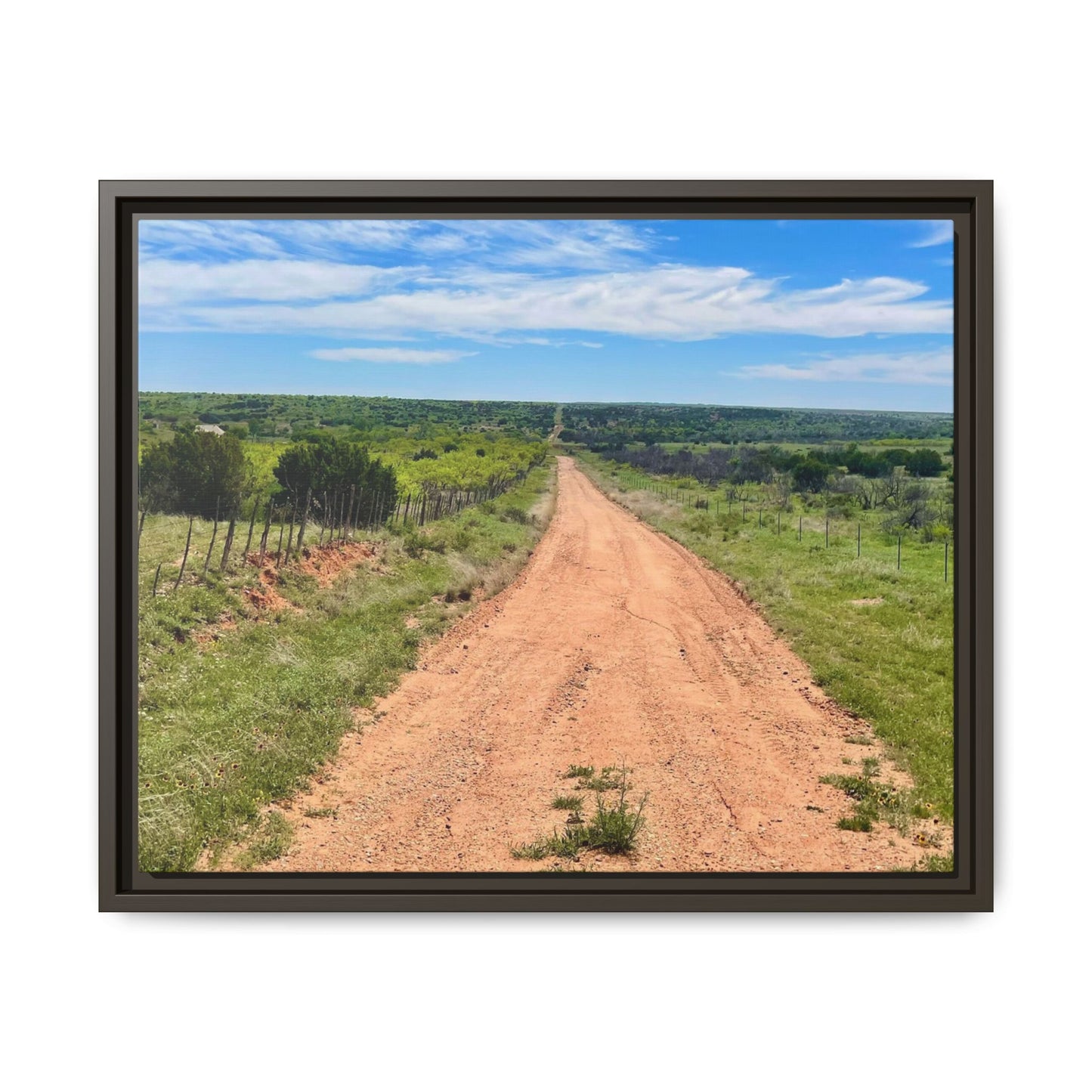 Bird Ranch Road, Matte Canvas, Framed (Multi-color)