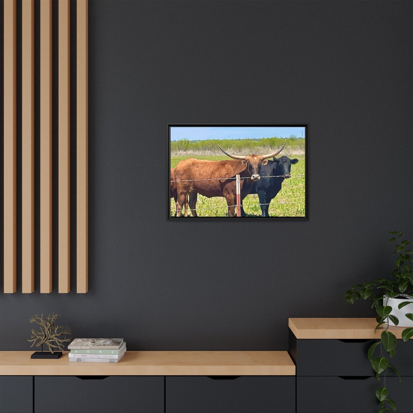 The stare down, Longhorn of Texas, Gallery Canvas Wraps, Horizontal Frame