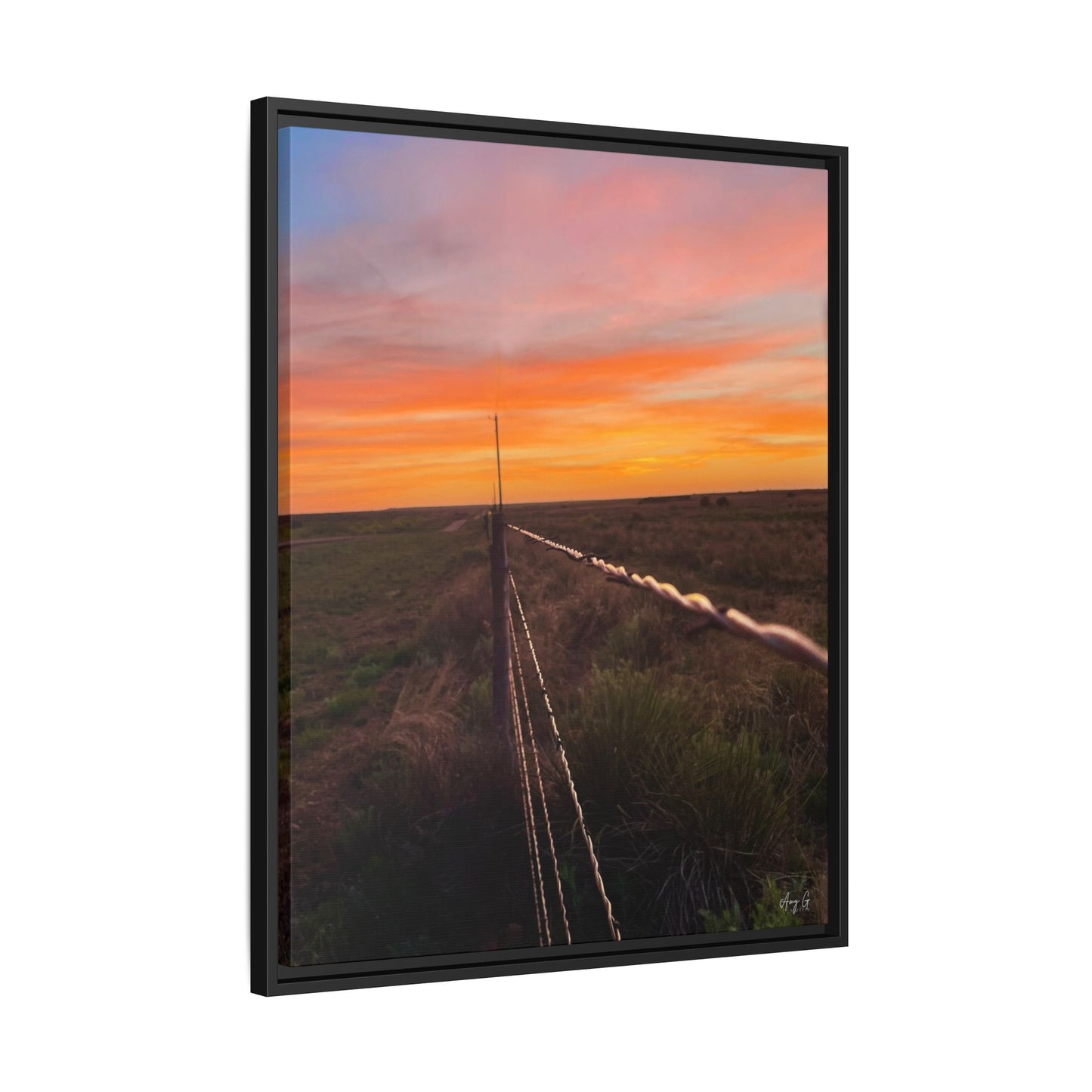 Barbed wire fence, Gallery Canvas Wraps, Vertical Frame