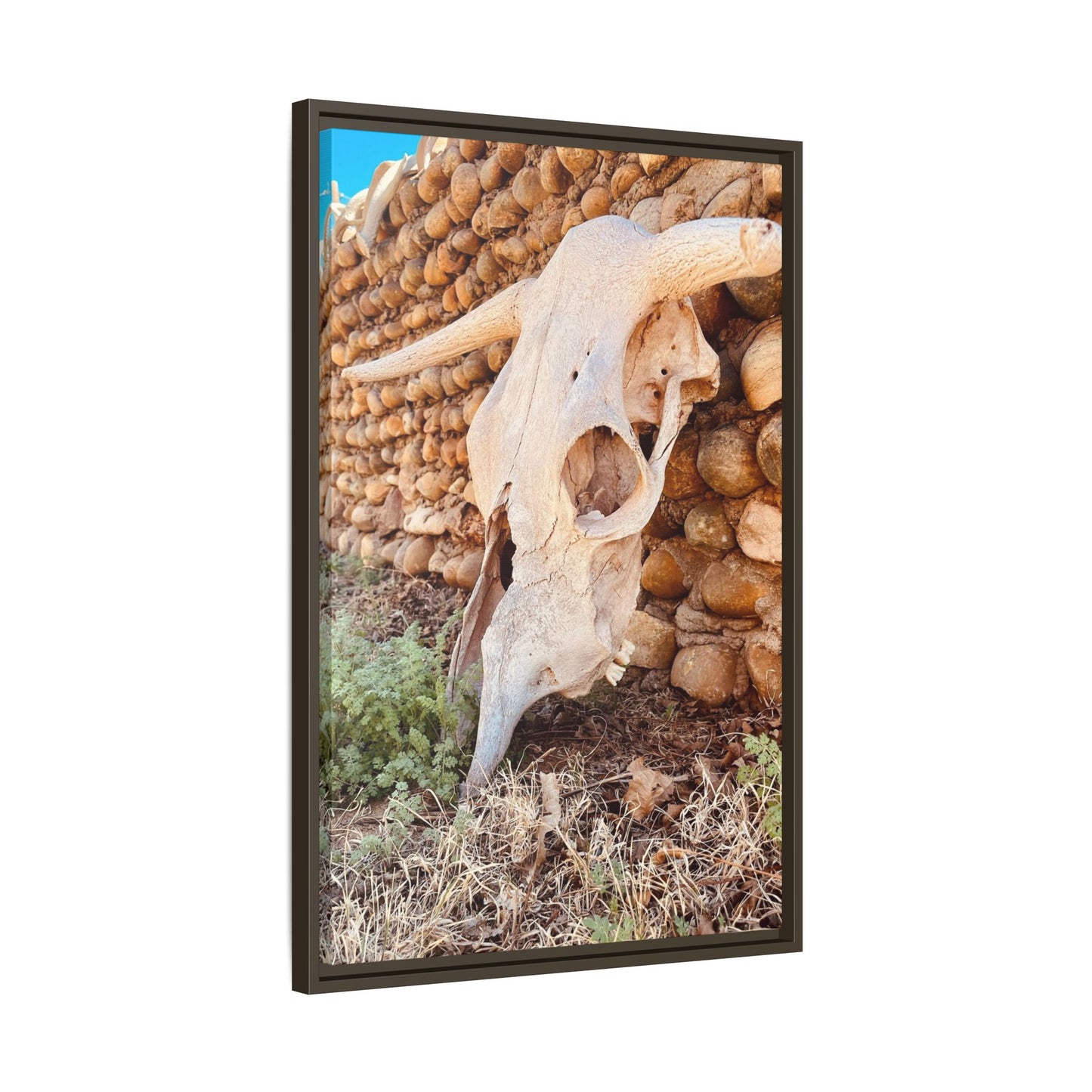 cow skull, Matte Canvas, Framed (Multi-color)