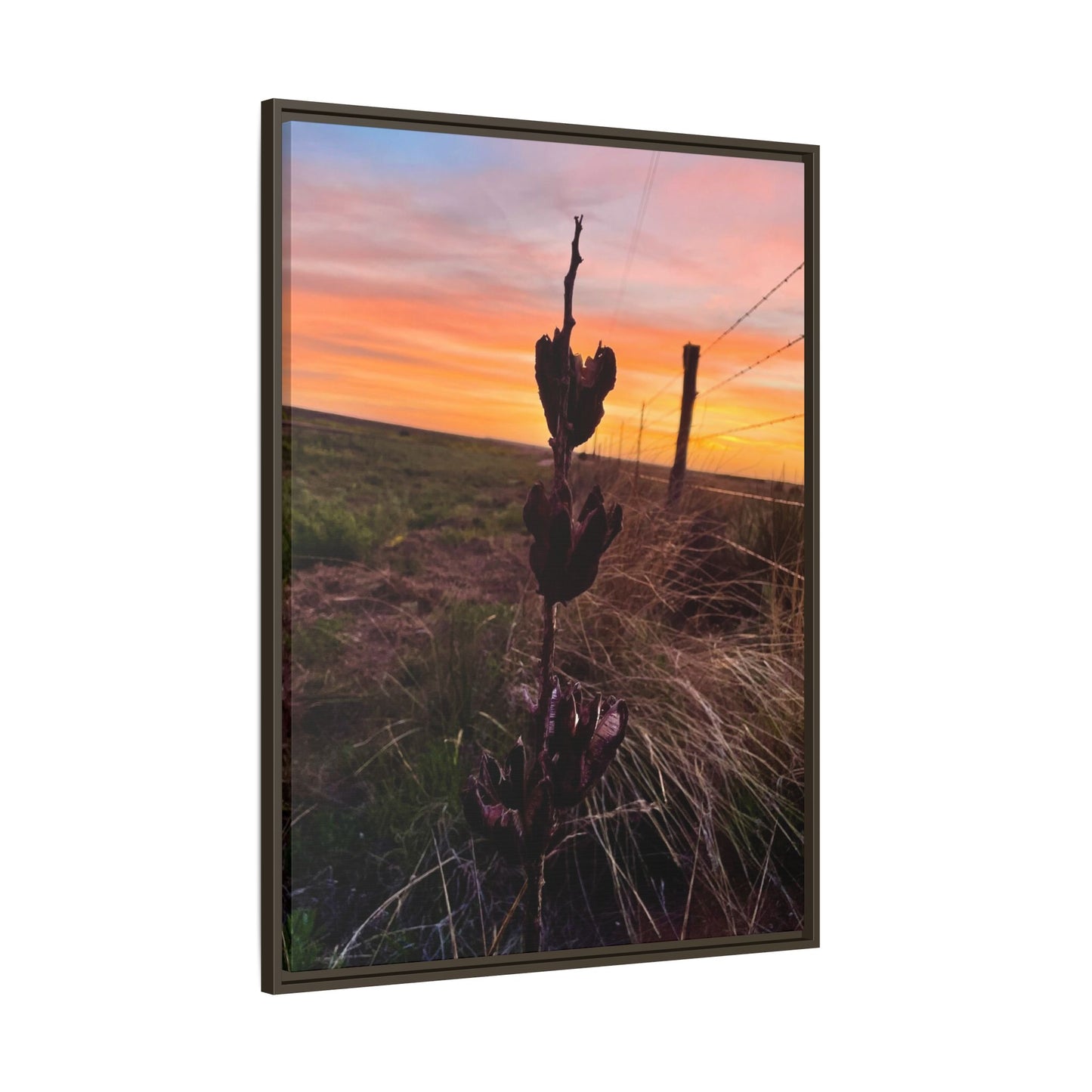 Native Yucca, Sunset, Gallery Canvas Wraps, Vertical Frame