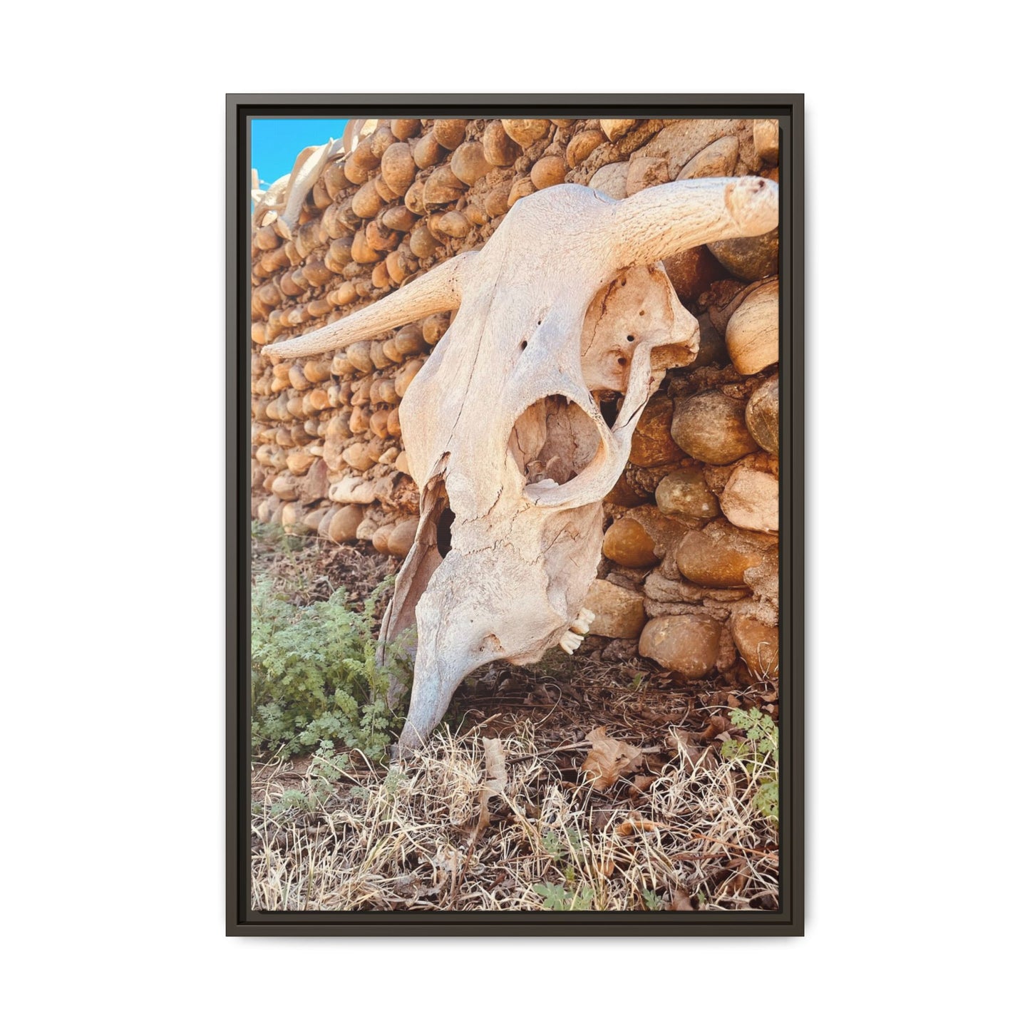 cow skull, Matte Canvas, Framed (Multi-color)