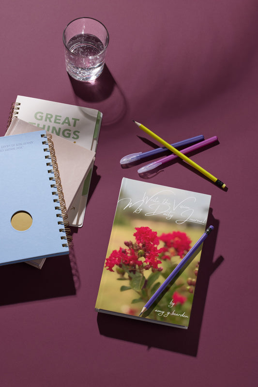 Write the Vision, My Daily Journal